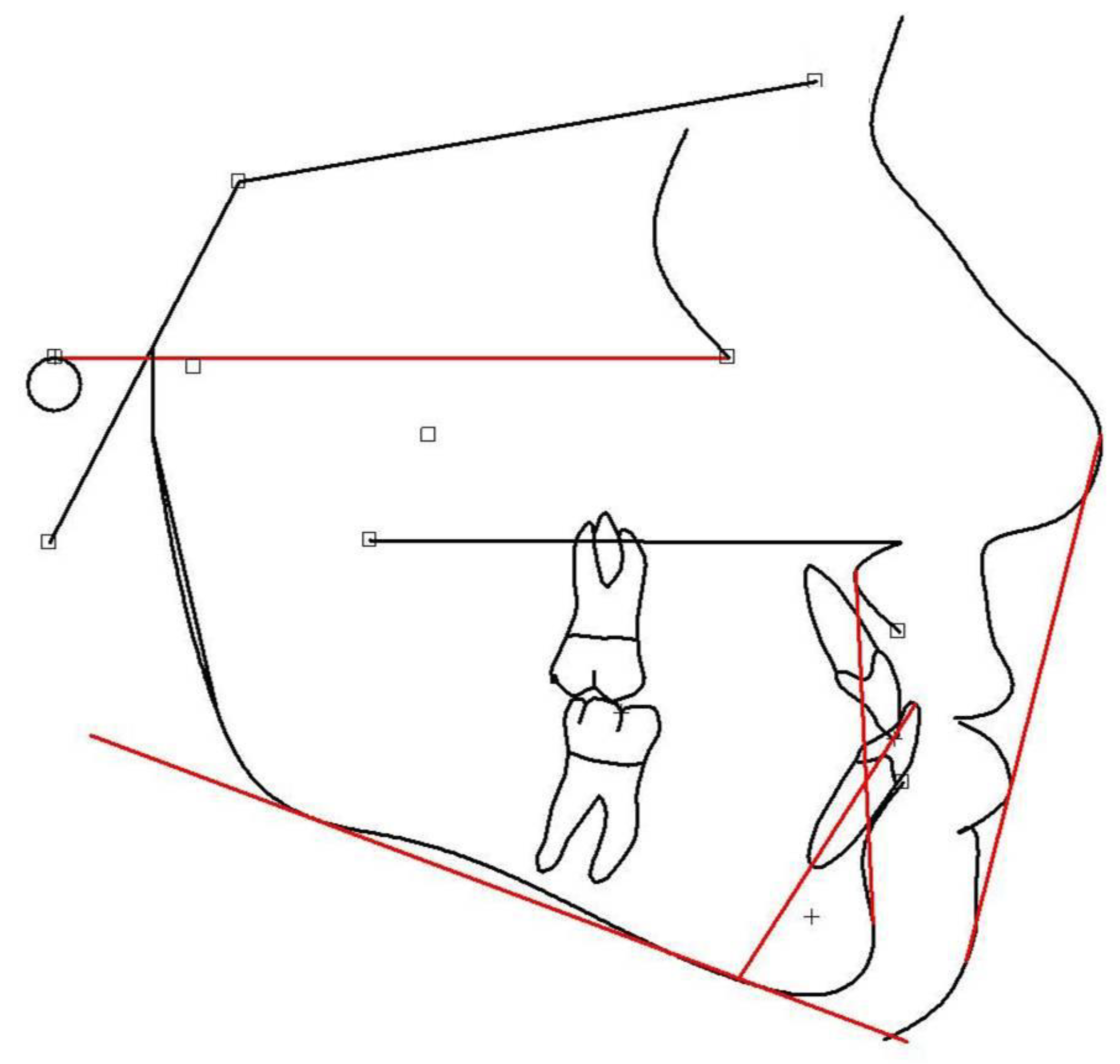 Children 12 01023 g003