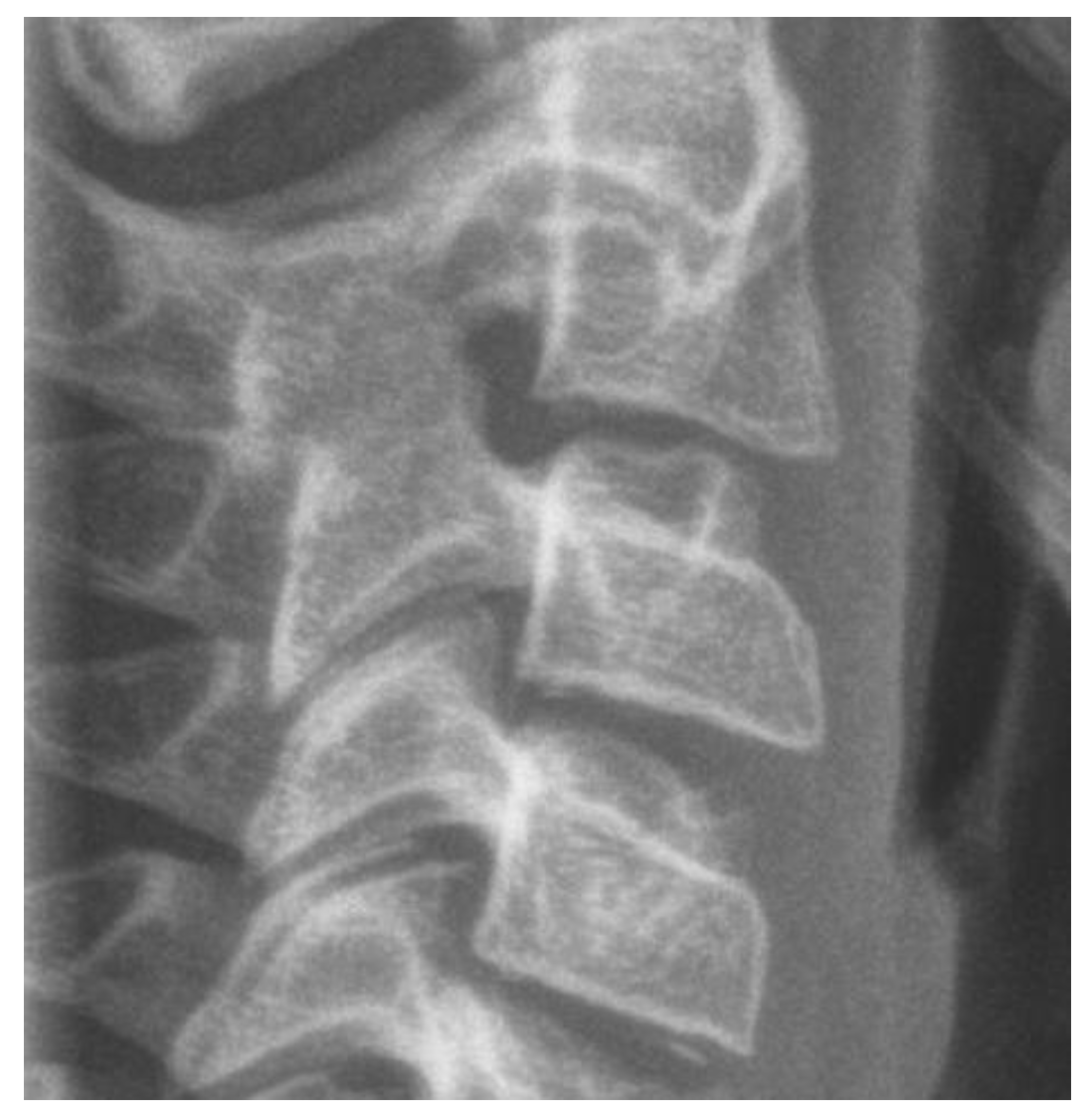 Children 12 01023 g004