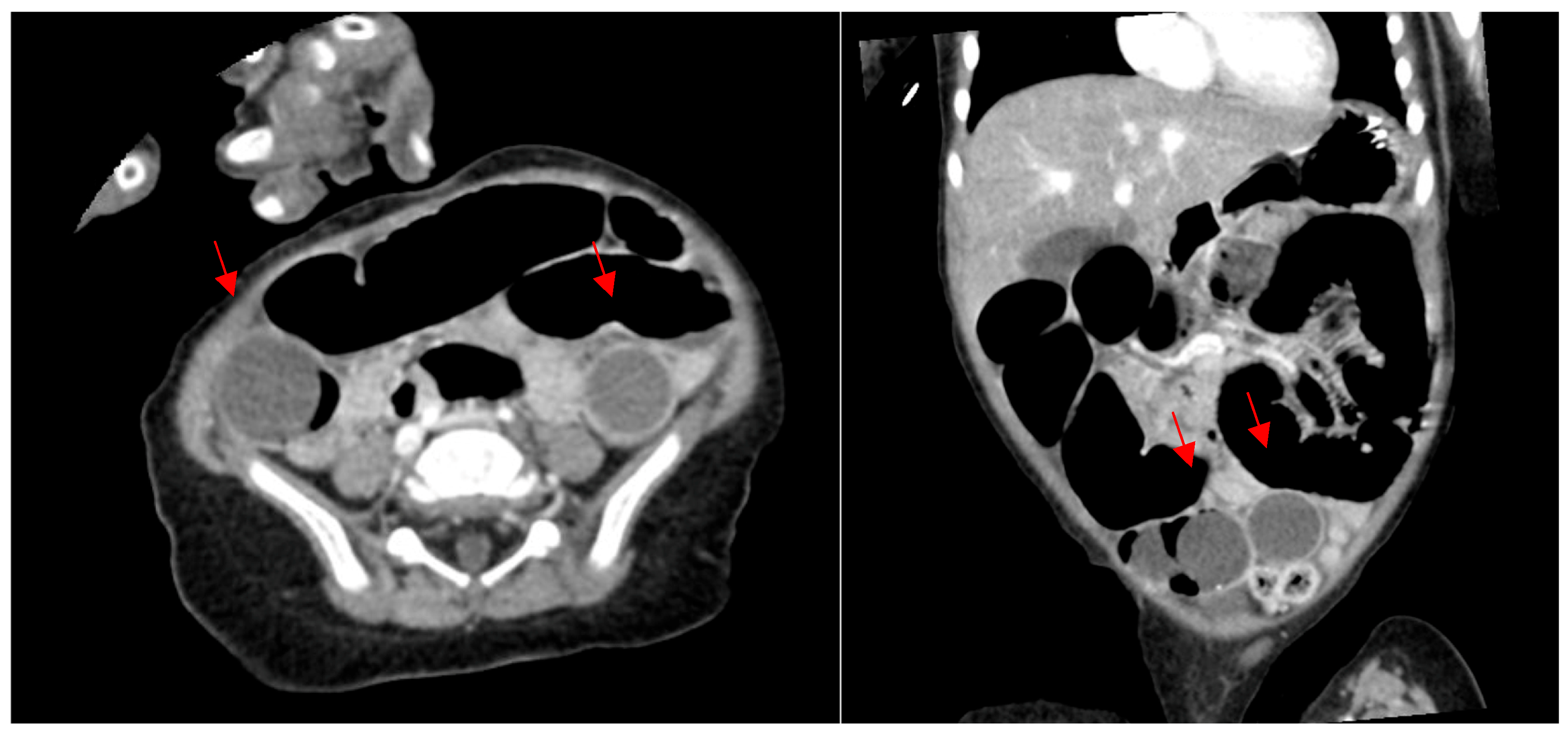 Children 12 01041 g001 Children 12 01041 g001