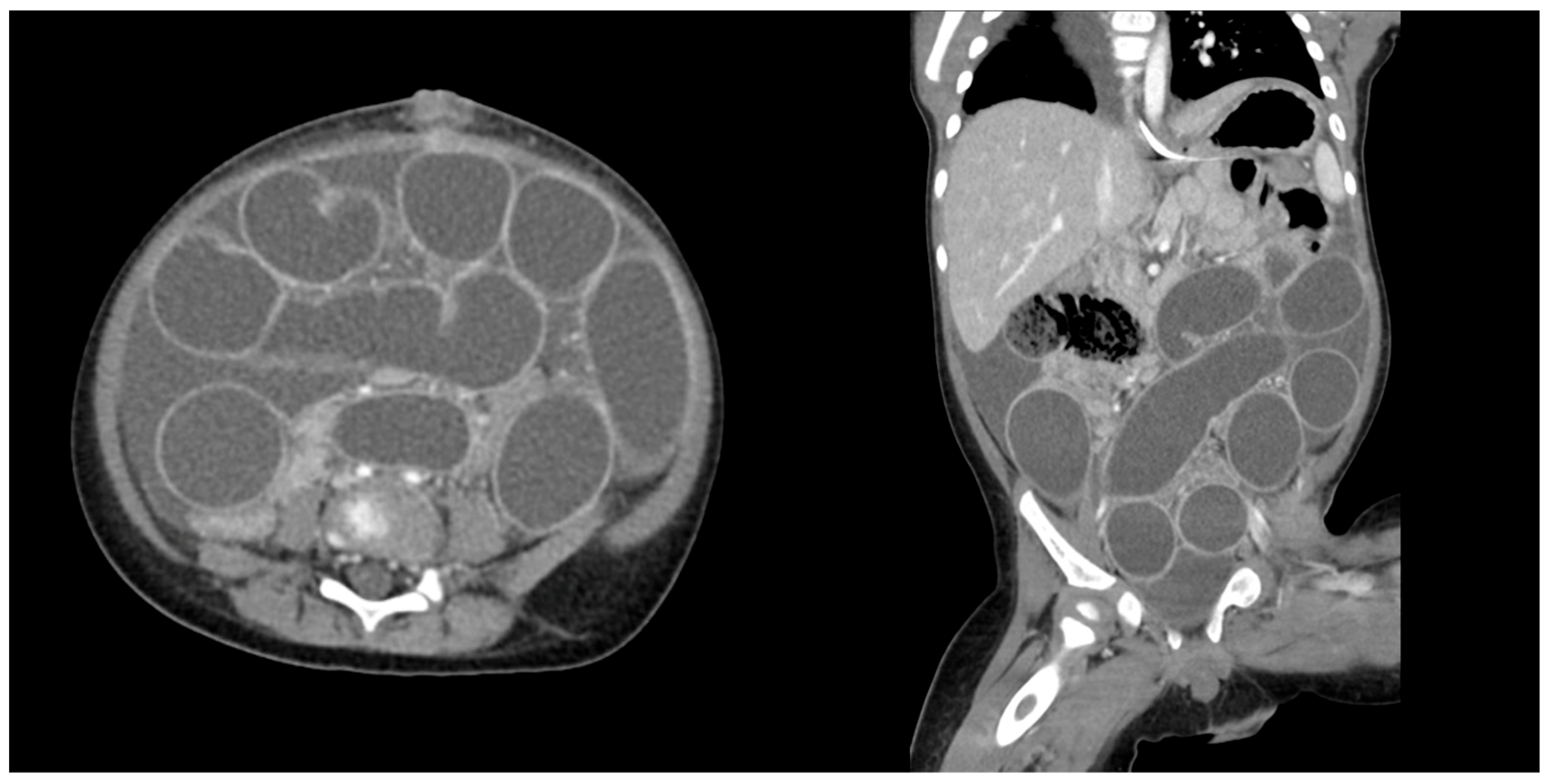 Children 12 01041 g002 Children 12 01041 g002