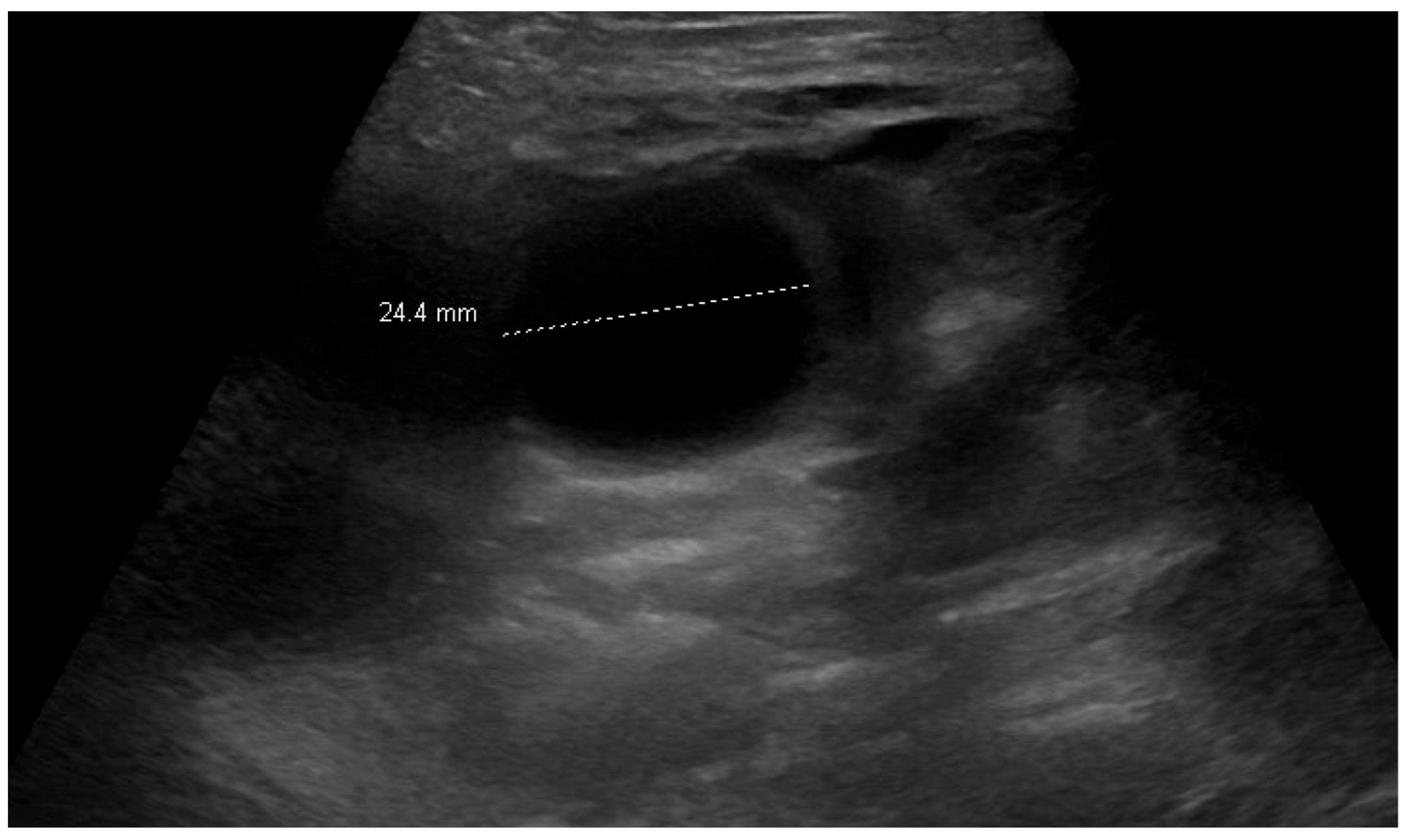 Children 12 01041 g005 Children 12 01041 g005