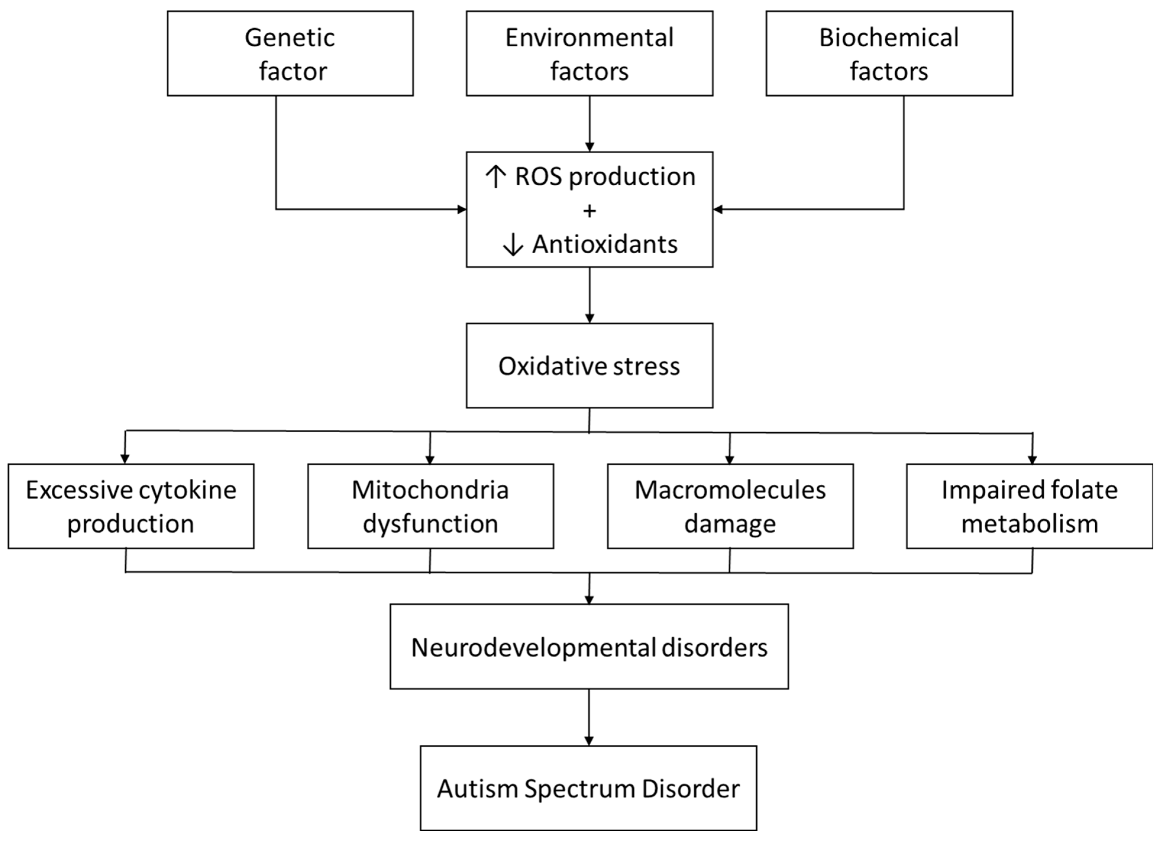 Children 12 01054 g002
