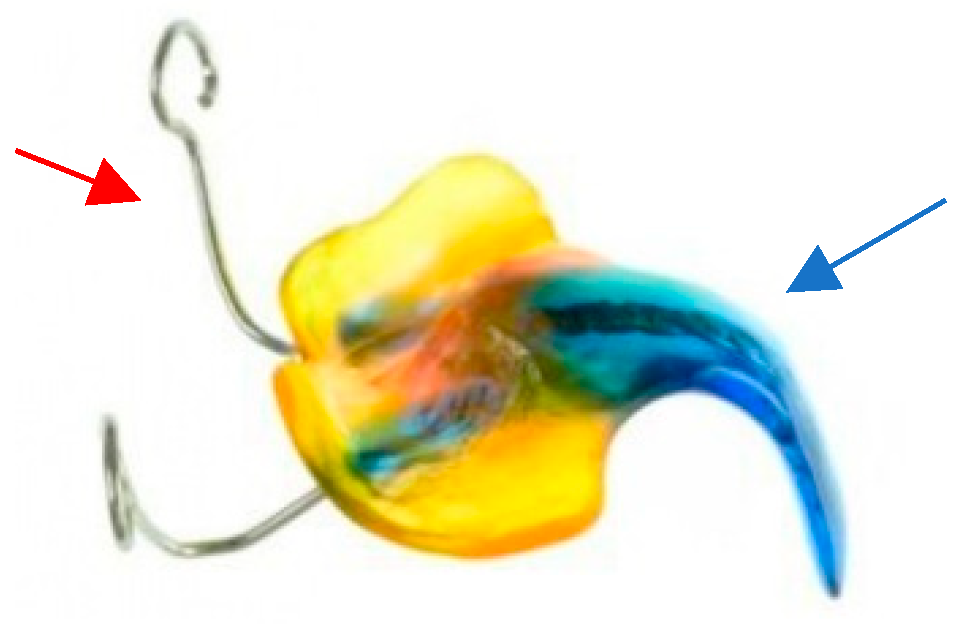 Children 12 01066 g007