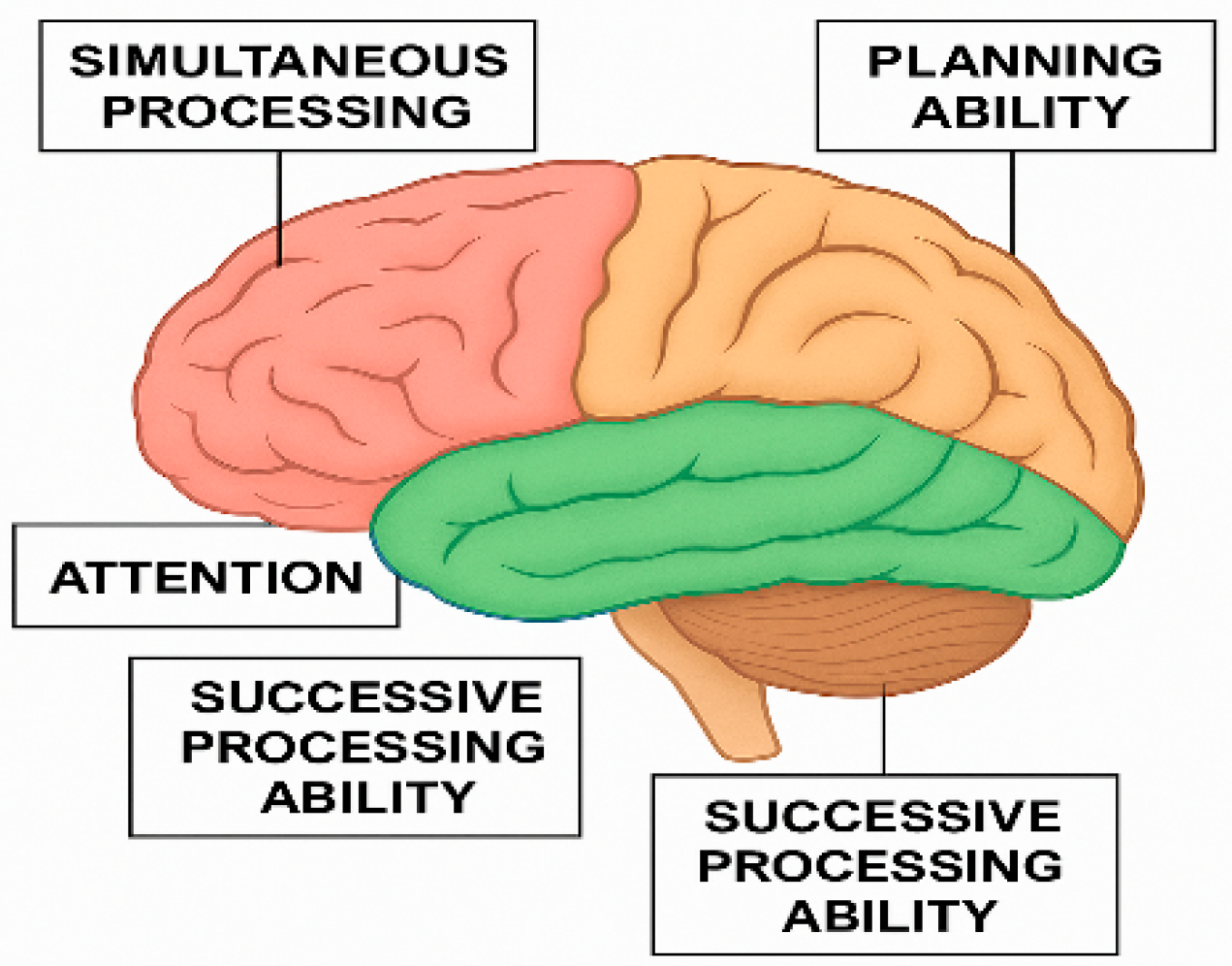 Children 12 01118 g001