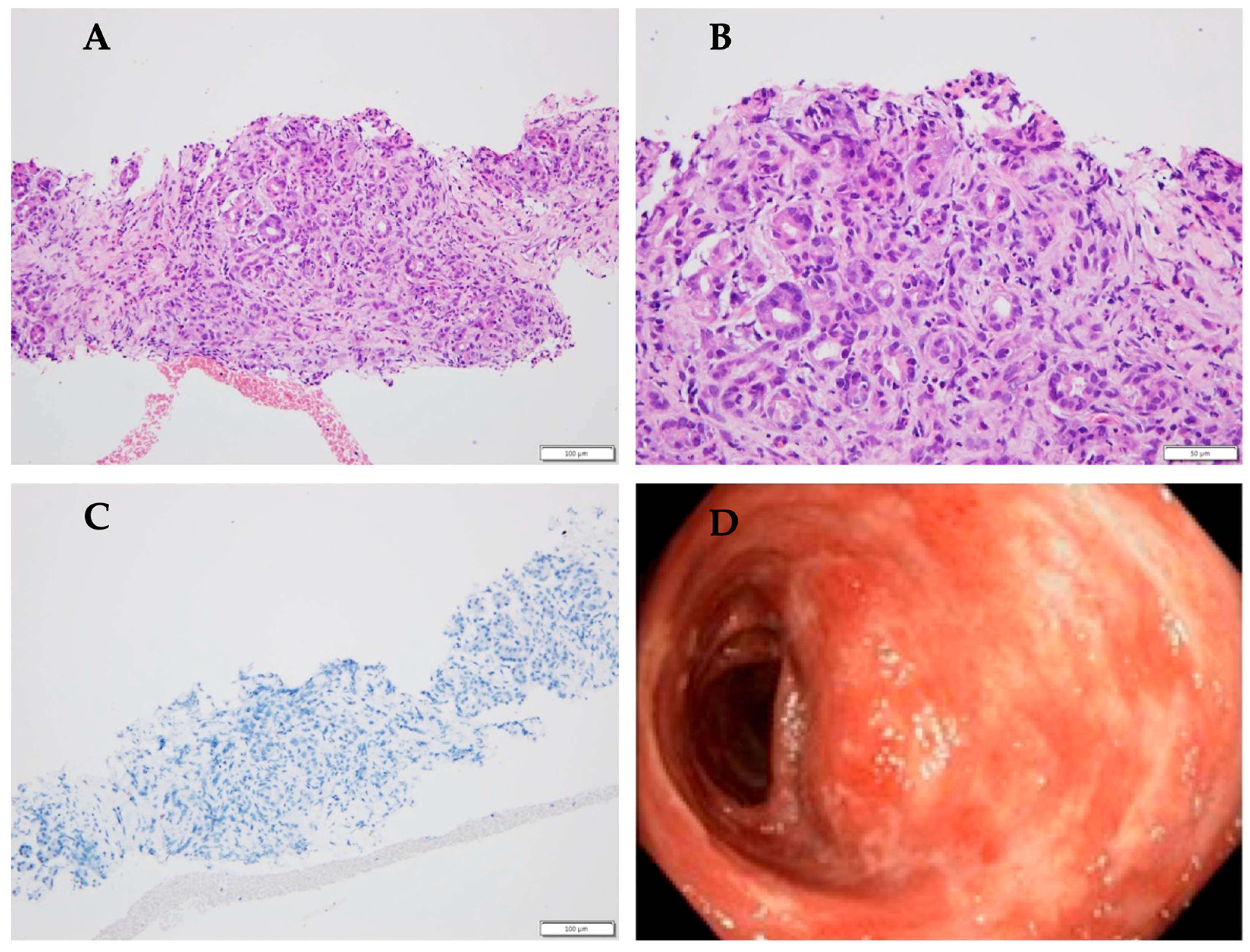 Children 12 01138 g002