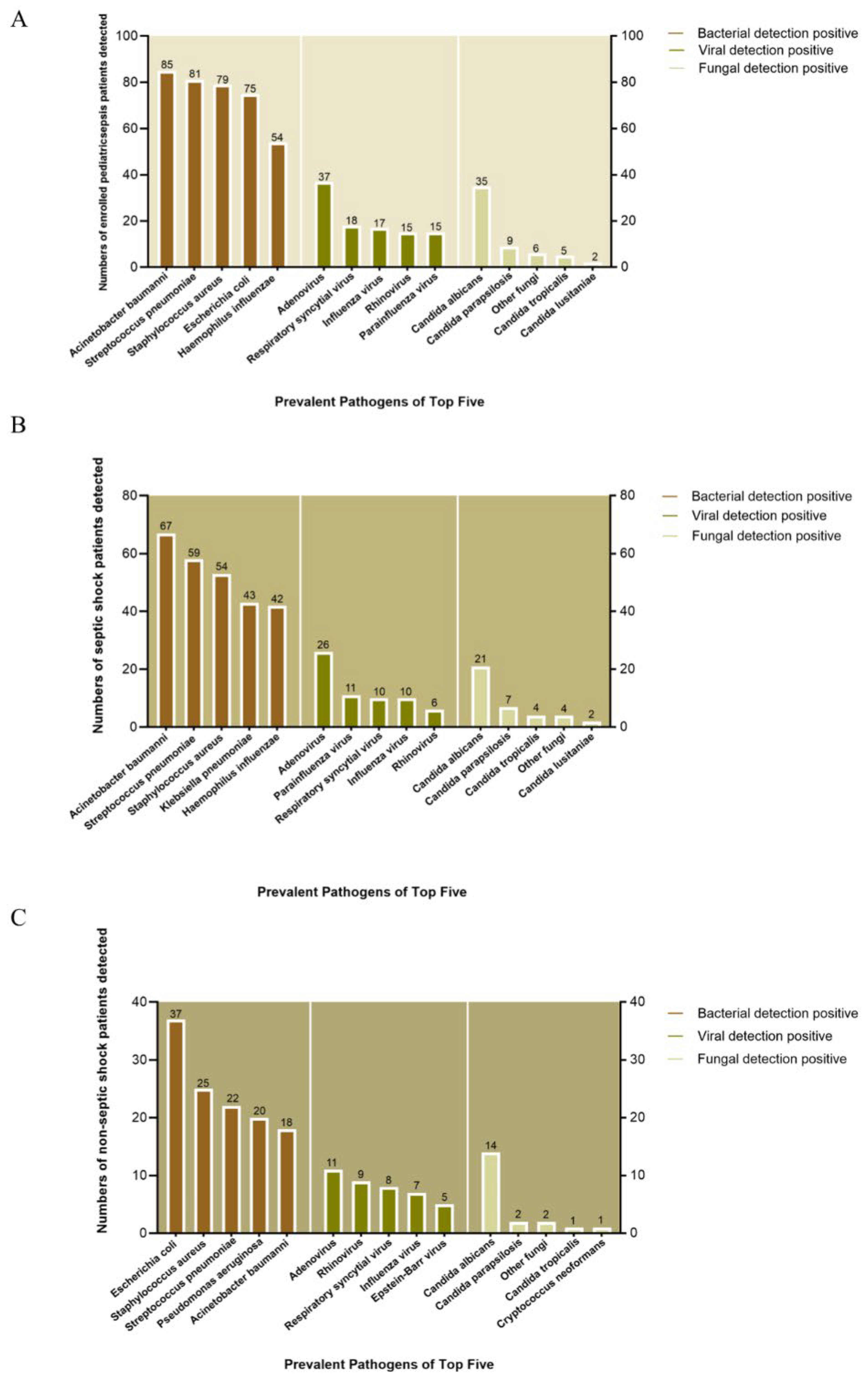 Children 12 01146 g003