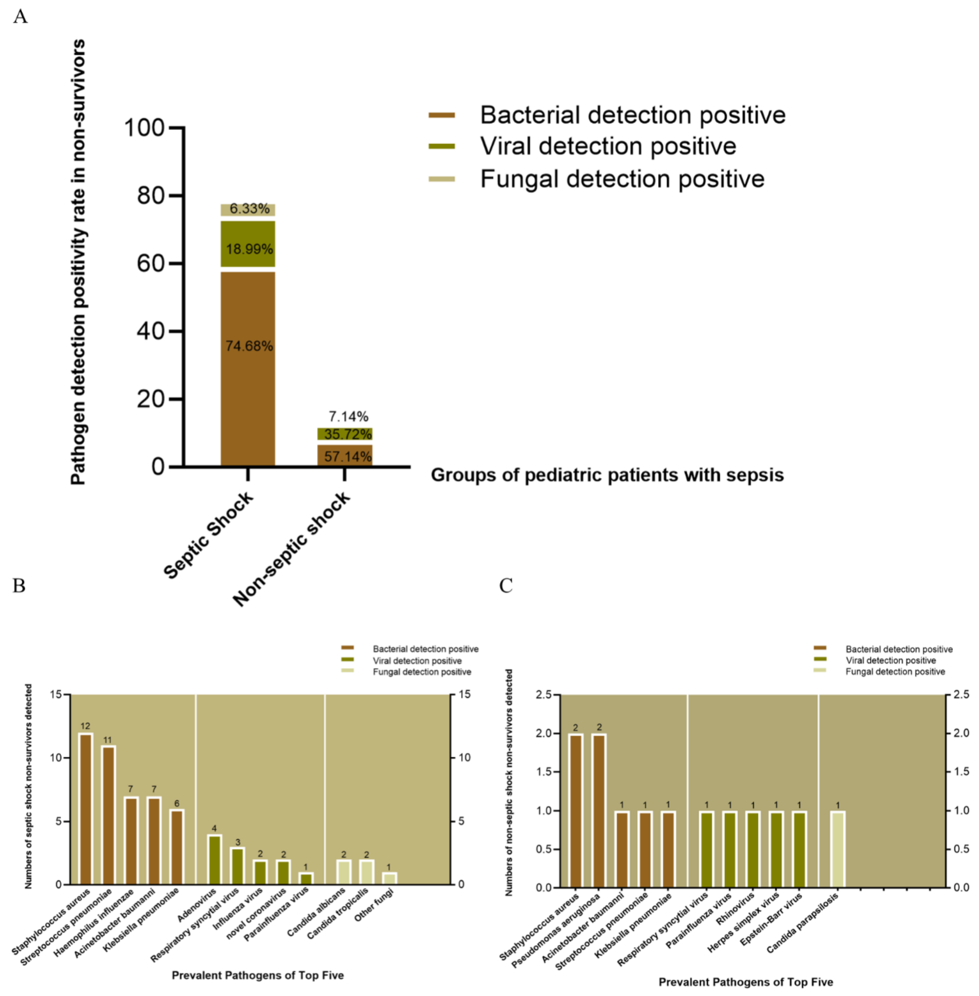Children 12 01146 g004