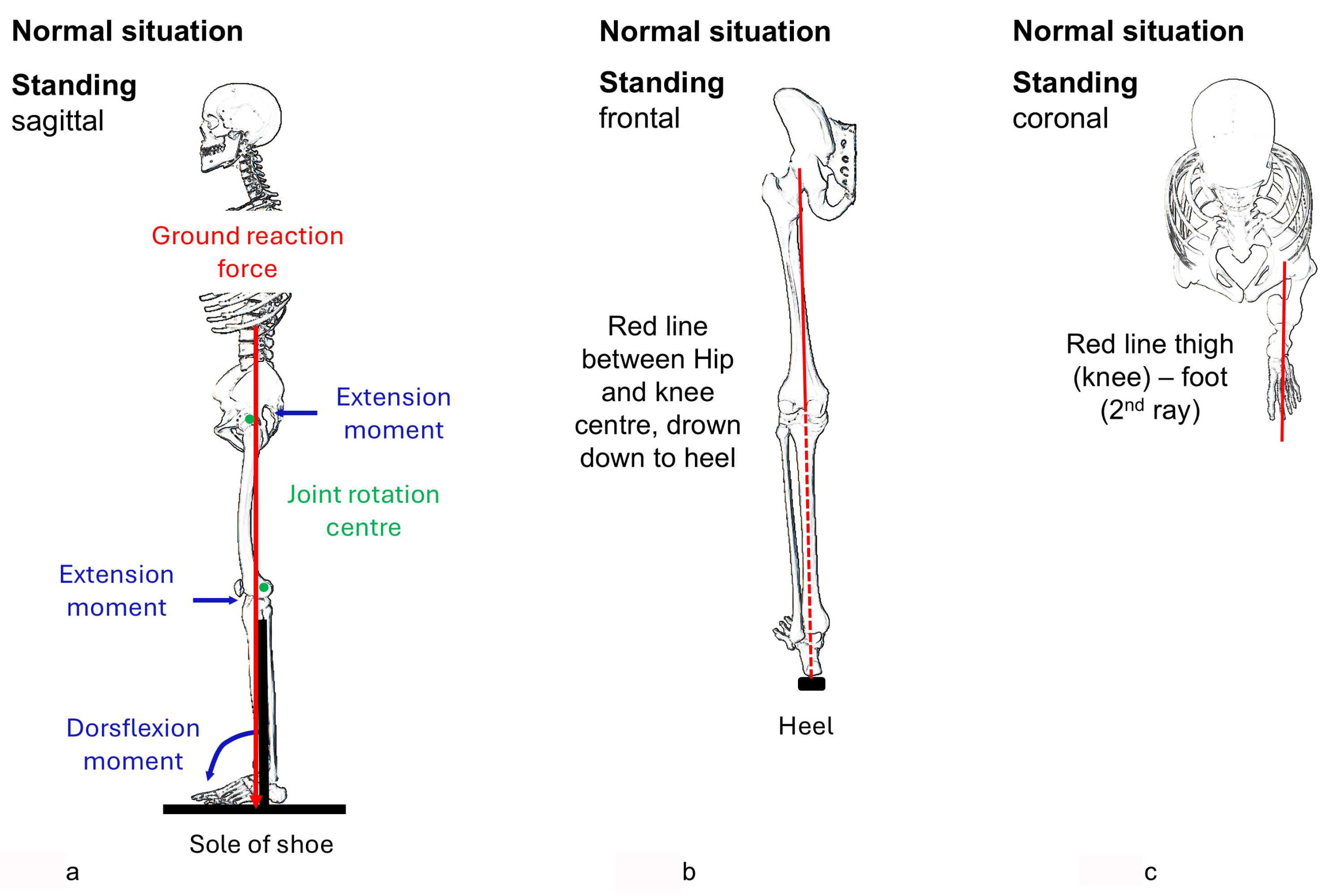 Children 12 01154 g001