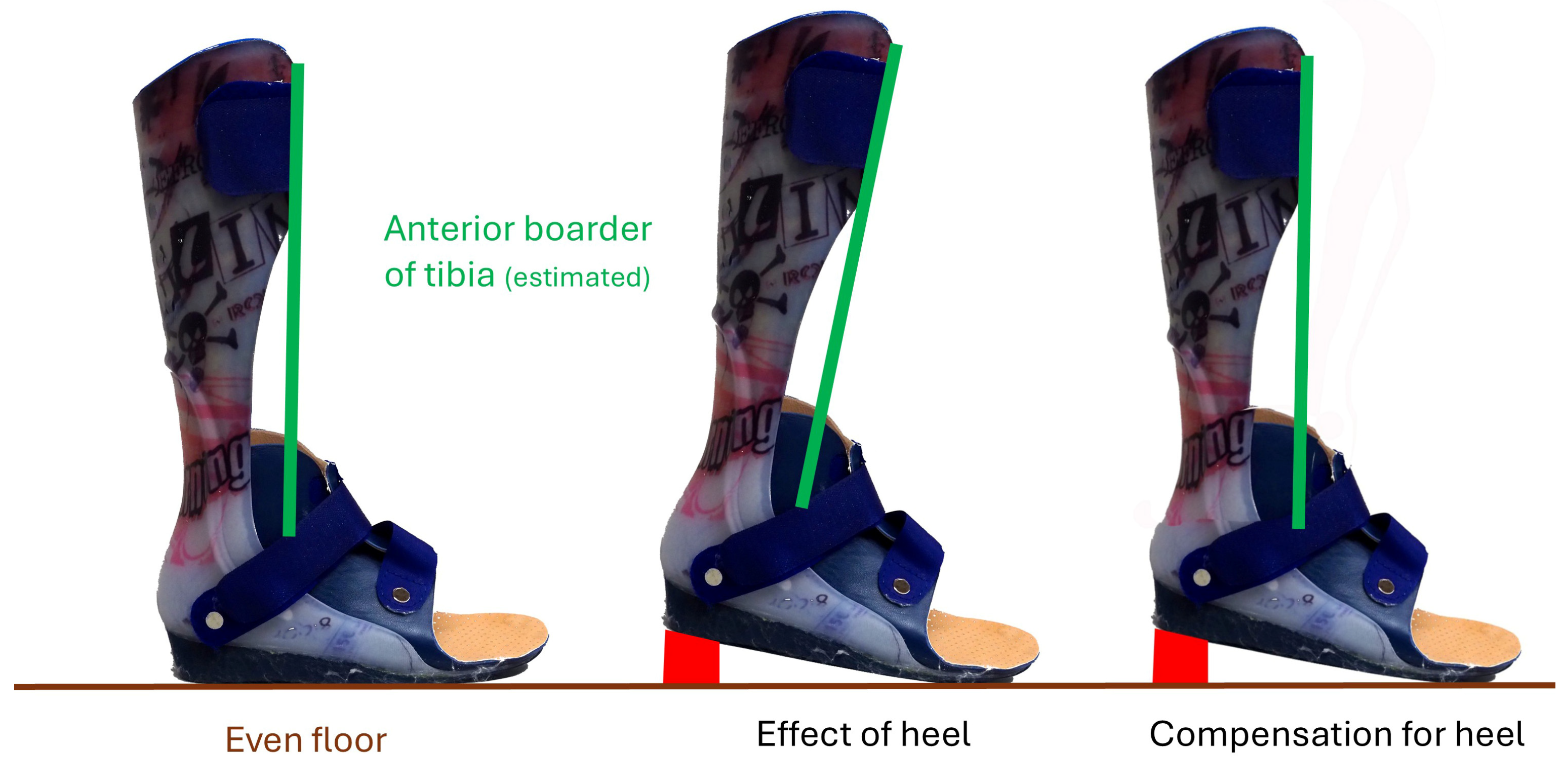 Children 12 01154 g003