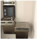 Children 12 01165 i005