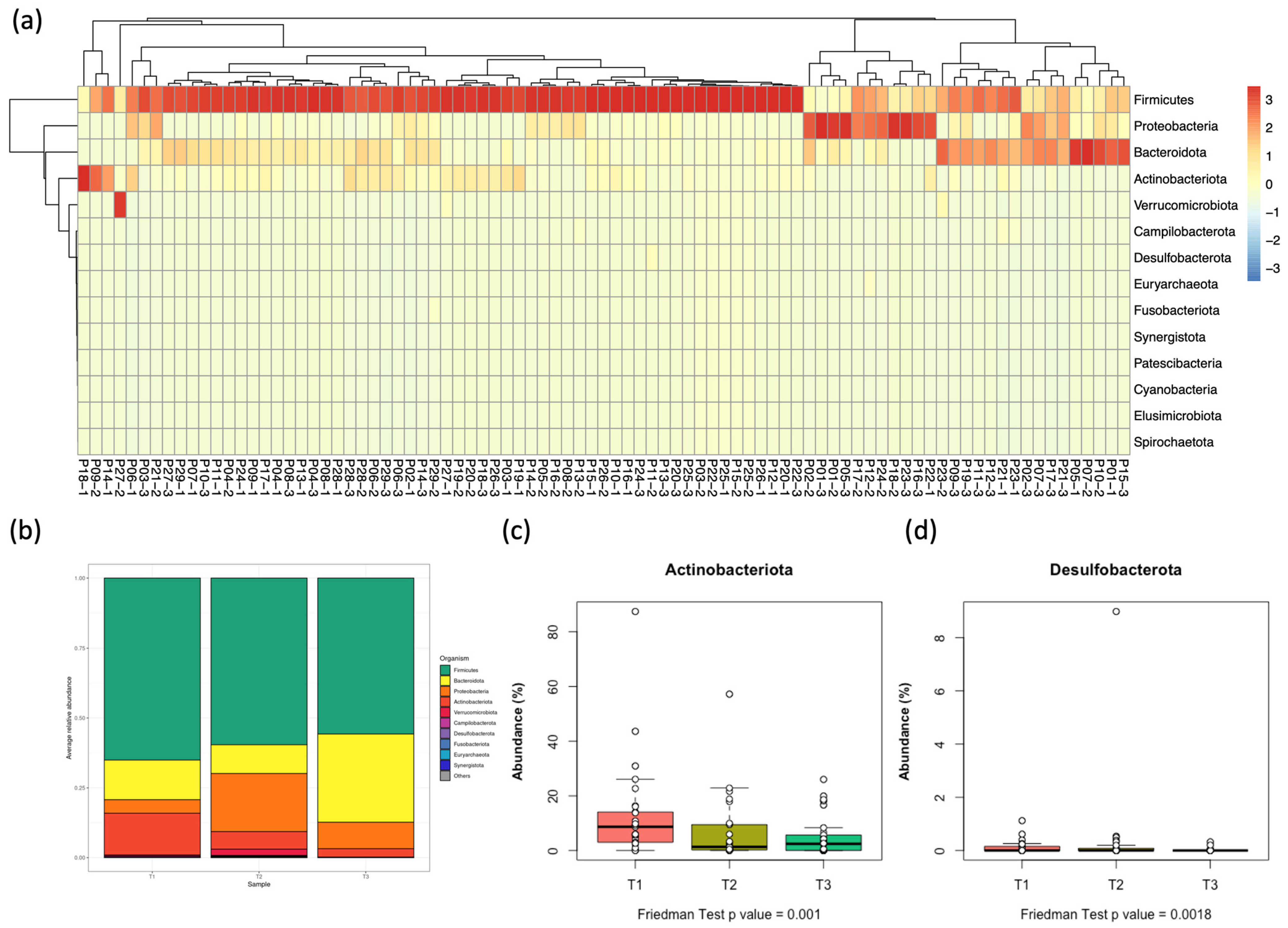 Children 12 01176 g003 Children 12 01176 g003