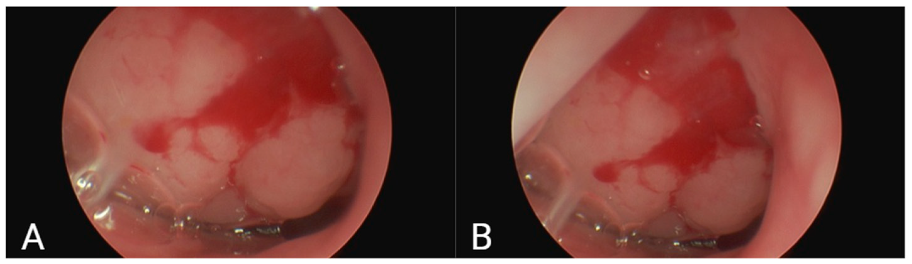 Children 12 01206 g001 Children 12 01206 g001