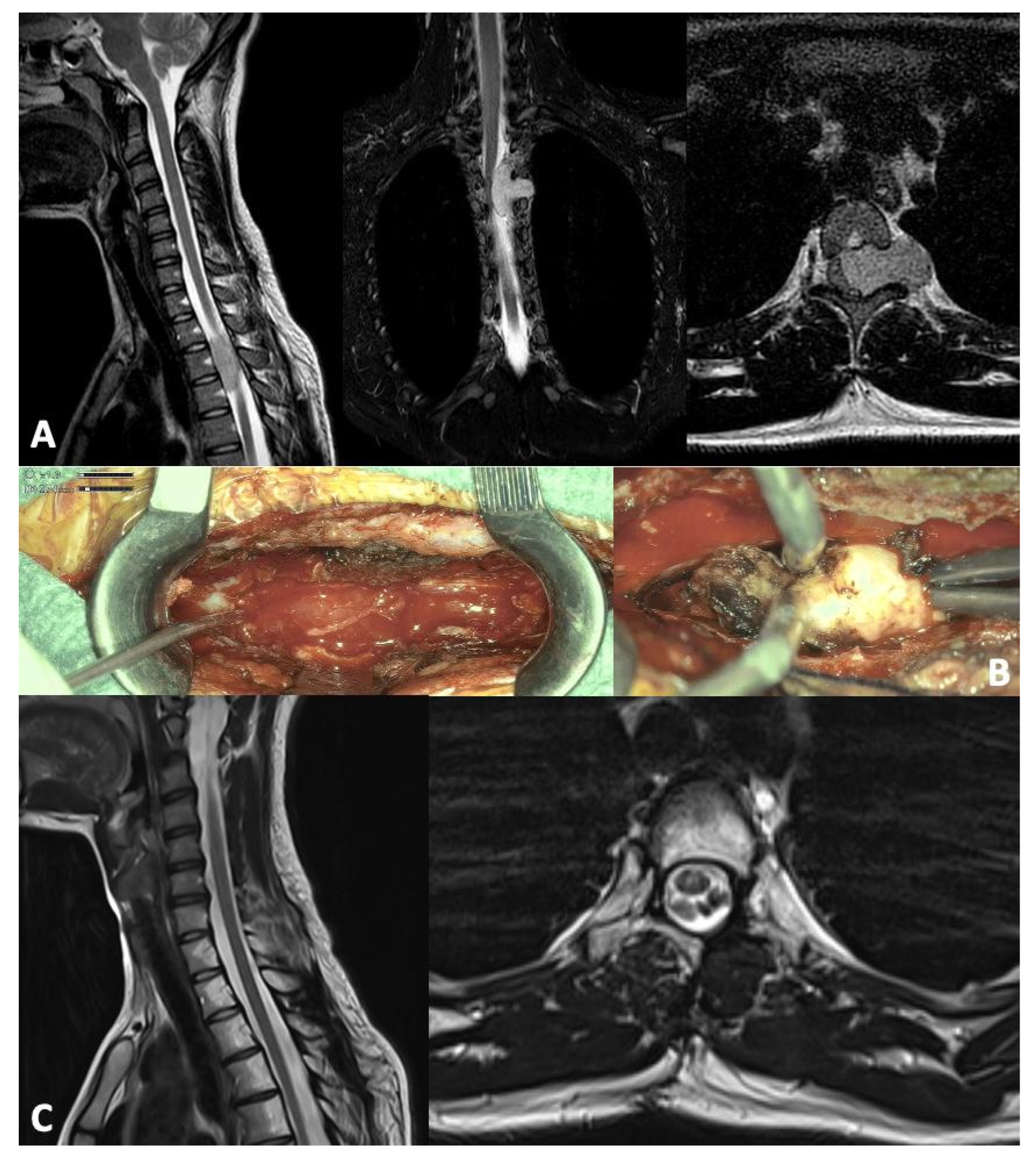 Children 12 01214 g001 Children 12 01214 g001
