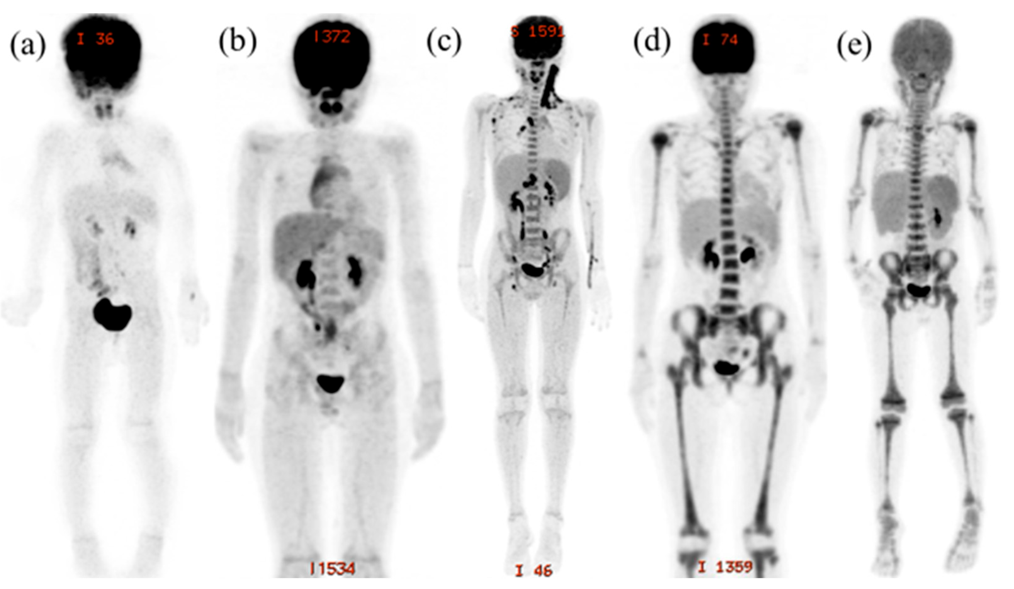 Children 12 01218 g001