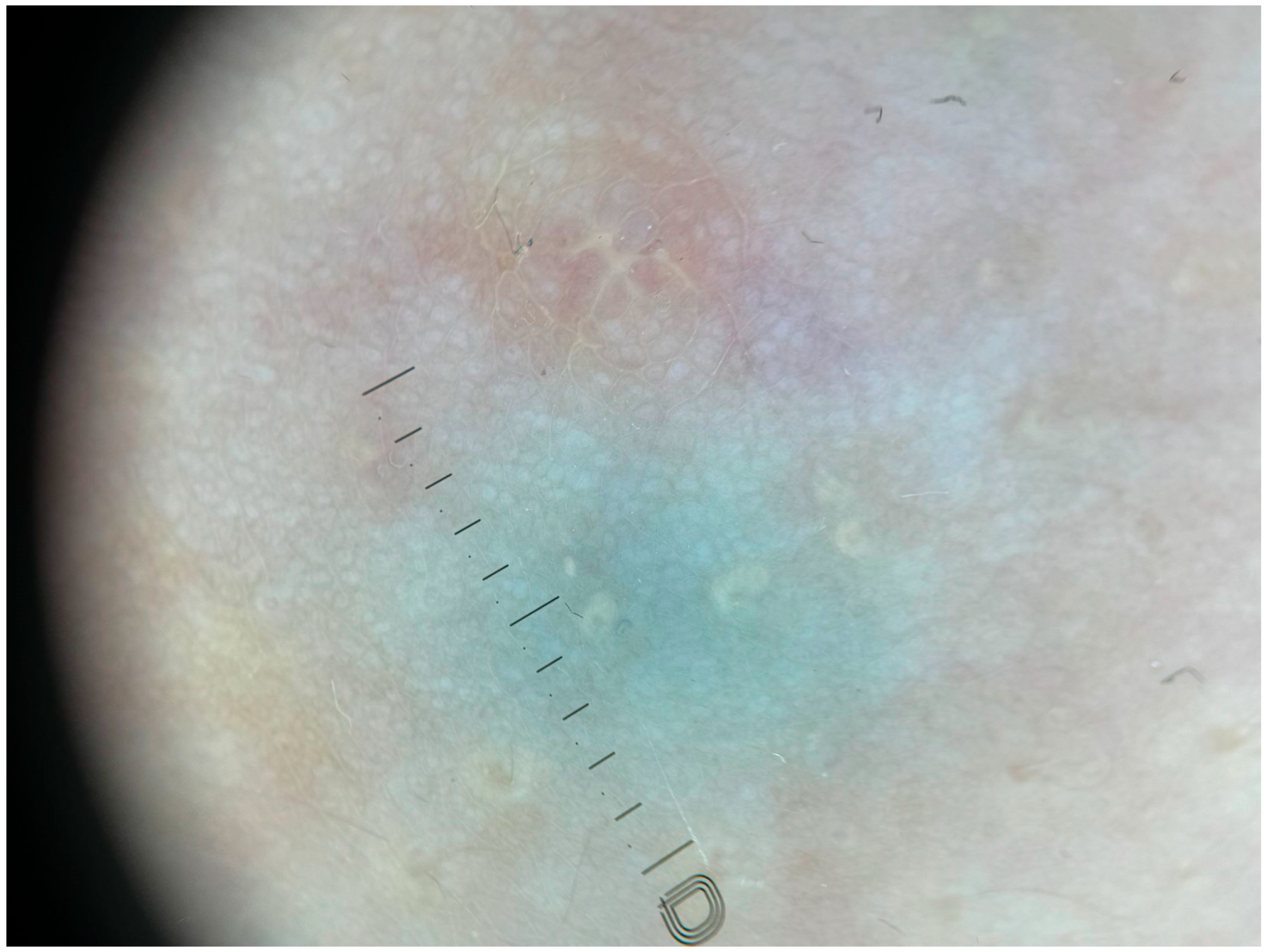 Children 12 01224 g003 Children 12 01224 g003