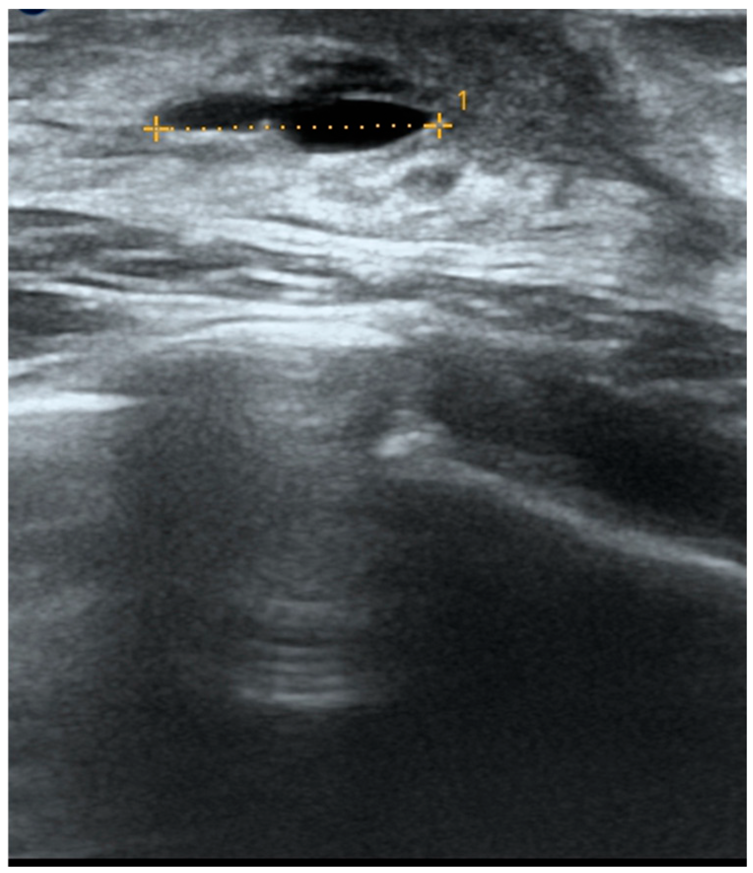 Children 12 01224 g004 Children 12 01224 g004