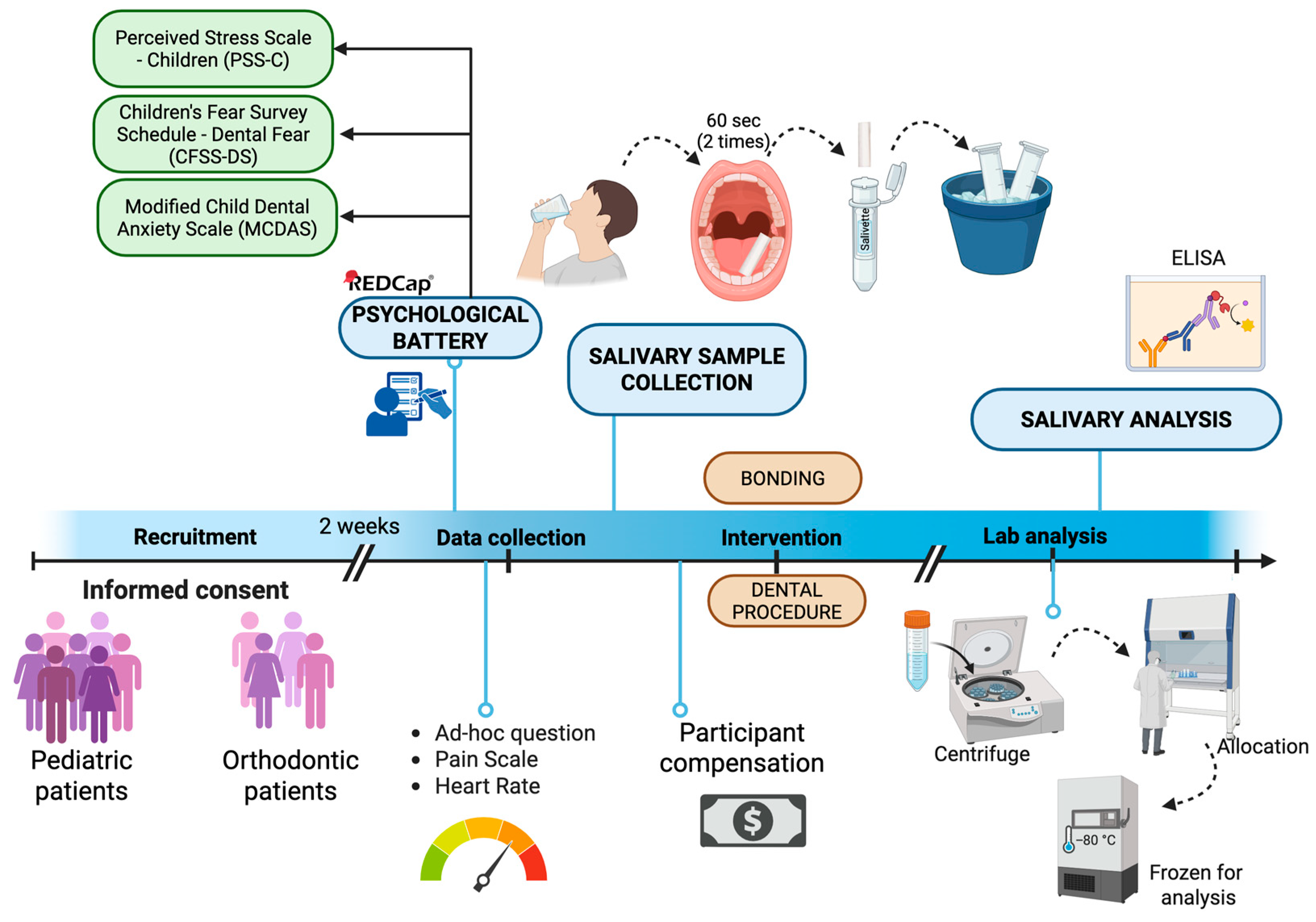 Children 12 01235 g001