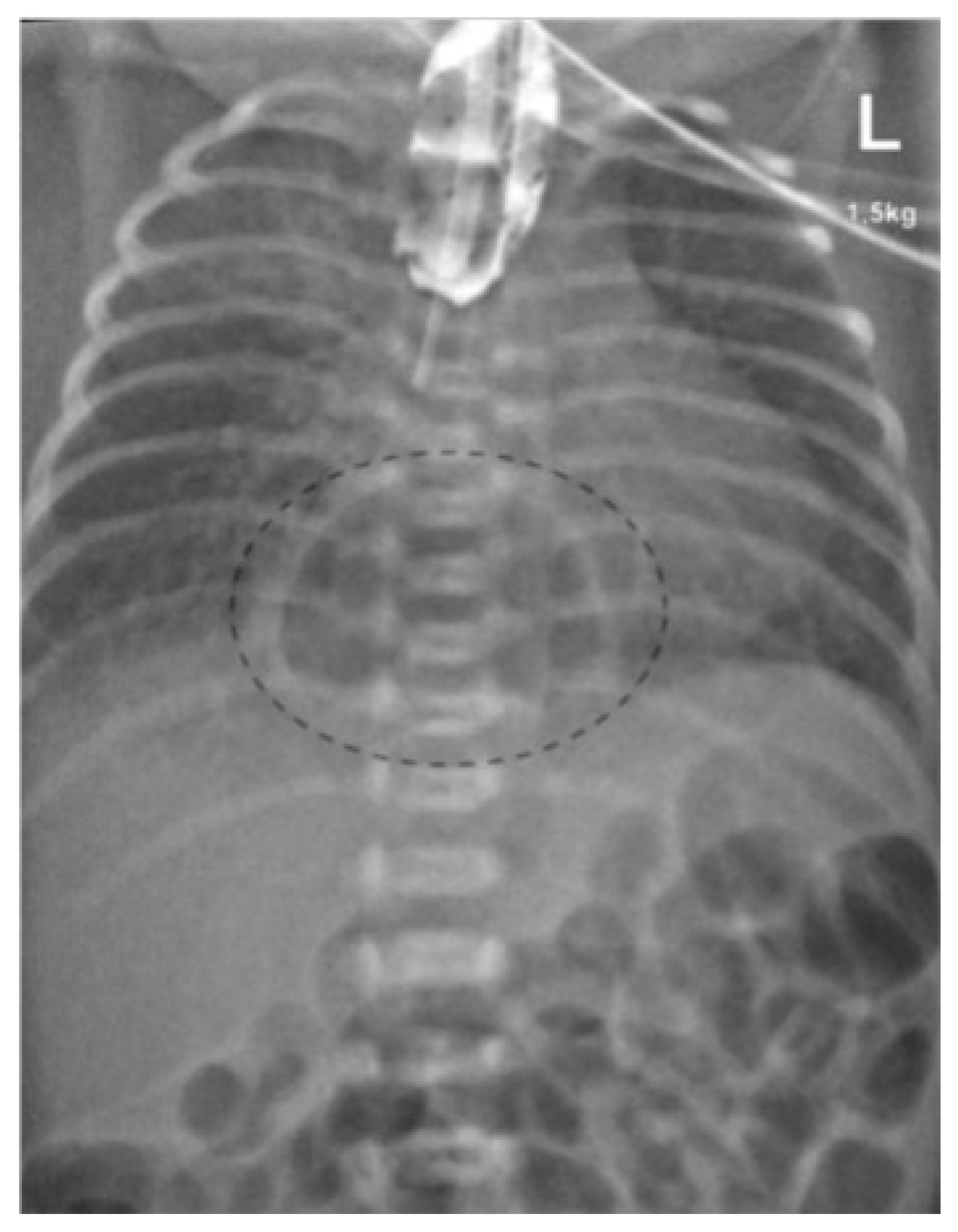 Children 12 01244 g002