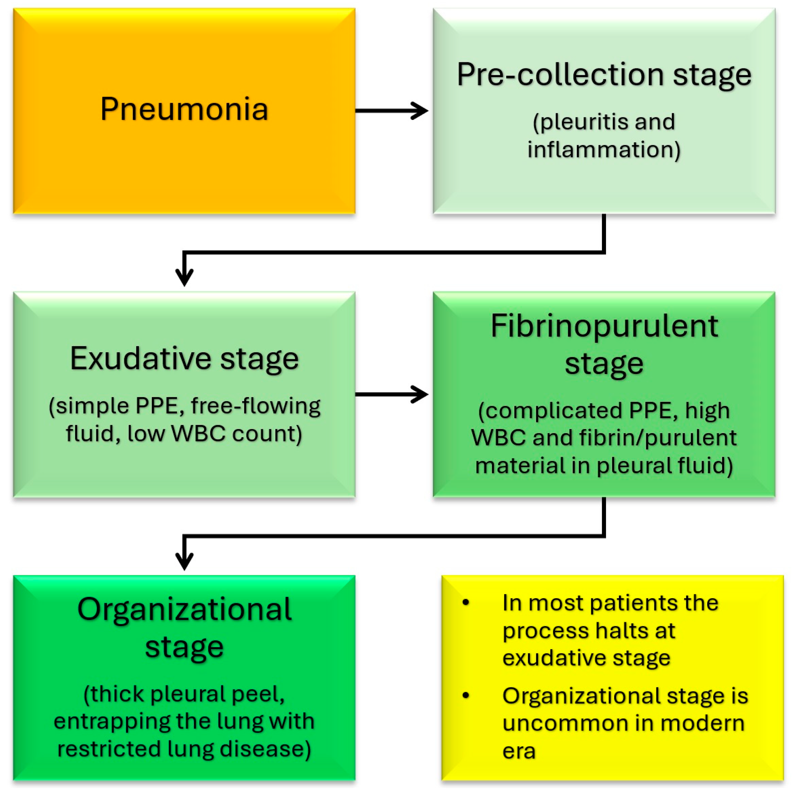 Children 12 01248 g002