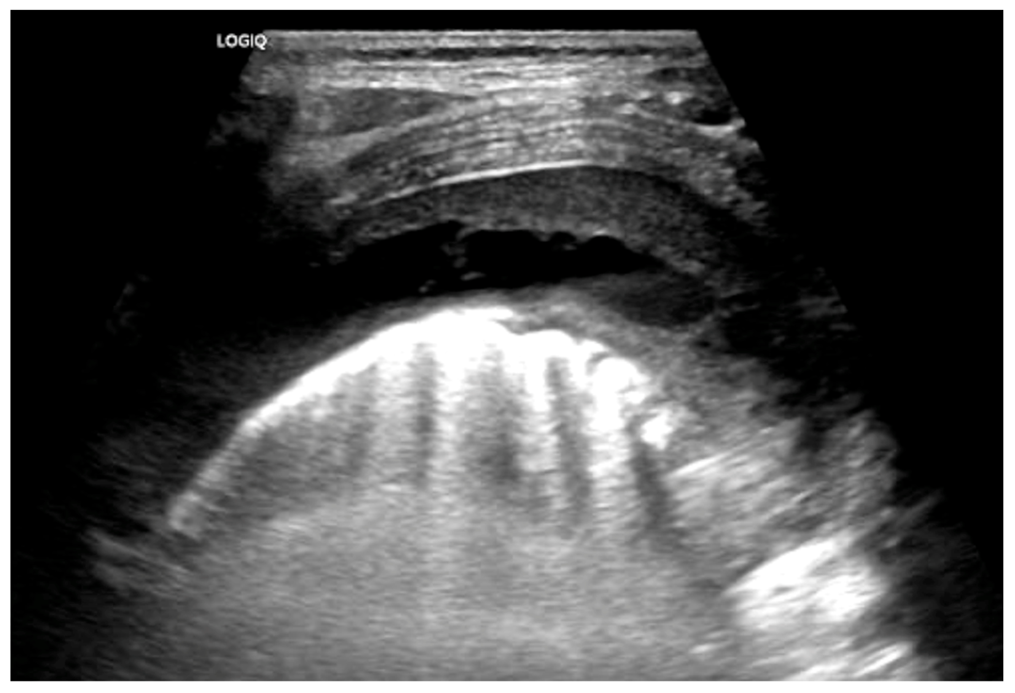 Children 12 01248 g006