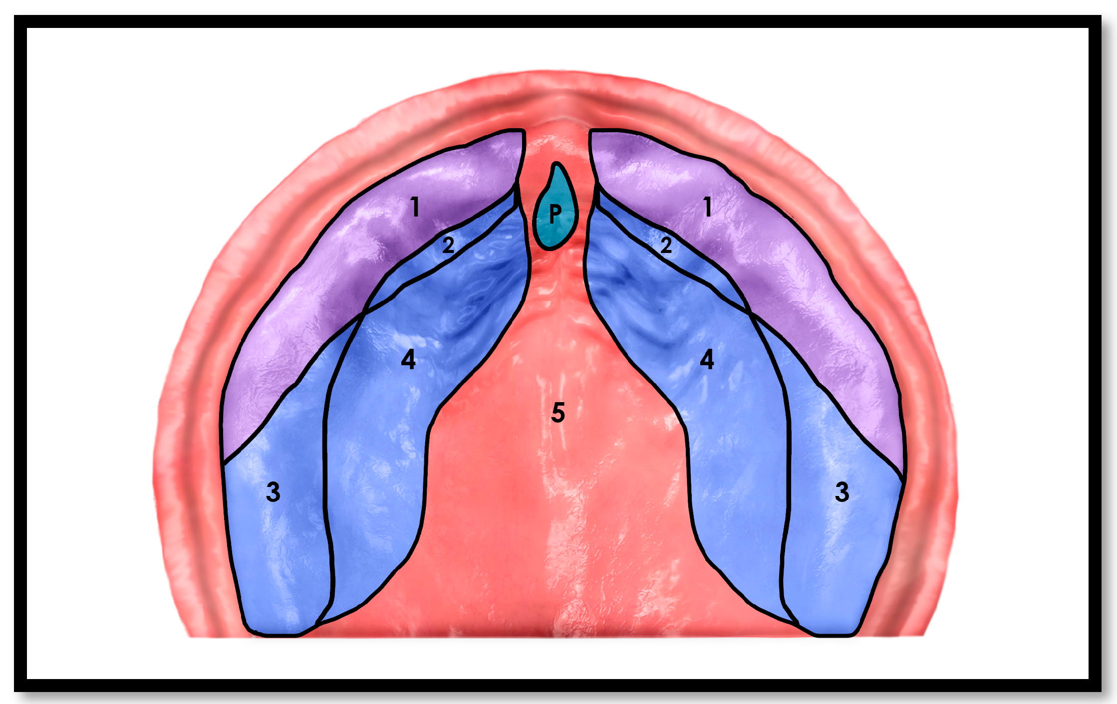 Children 12 01257 g001