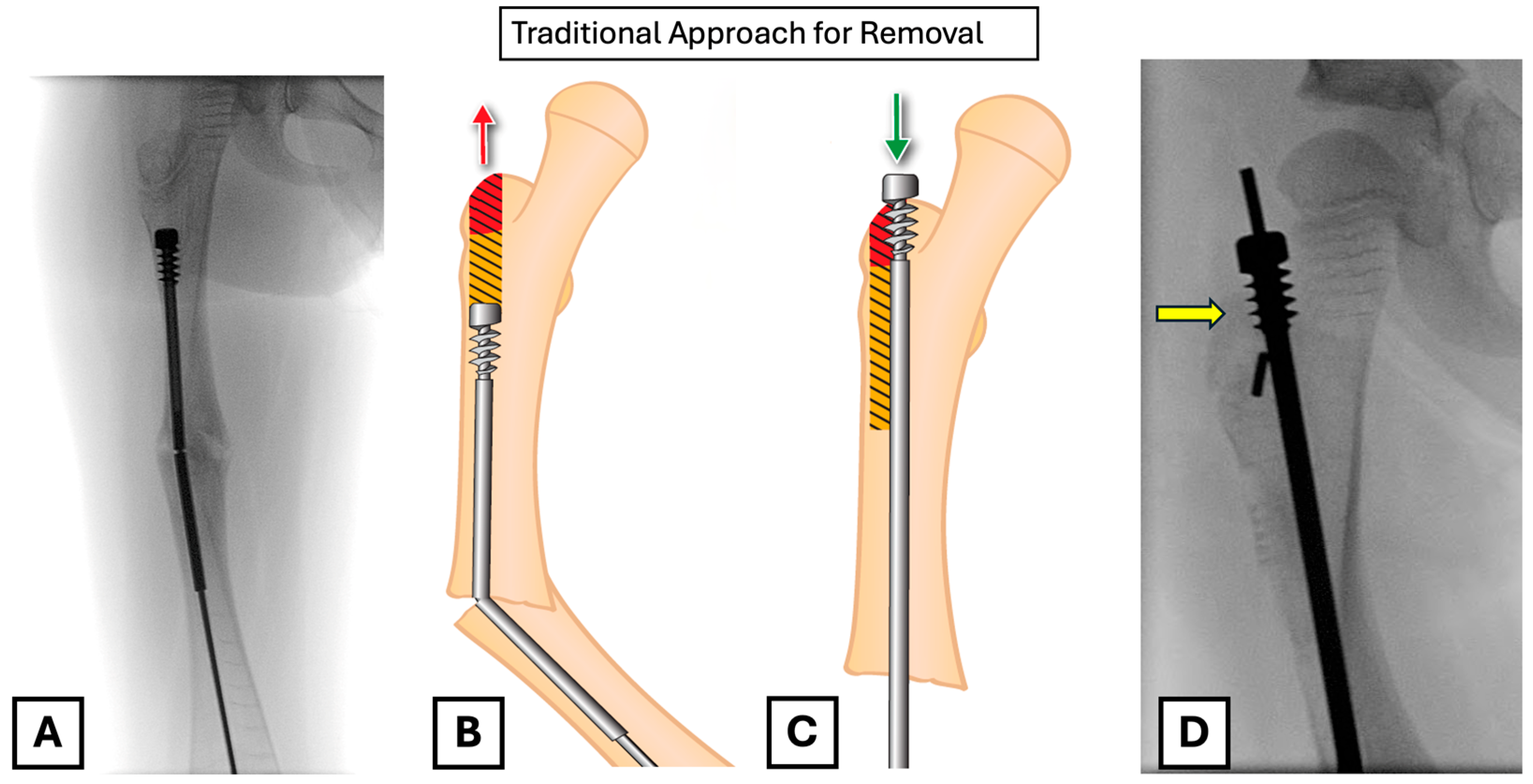 Children 12 01269 g001