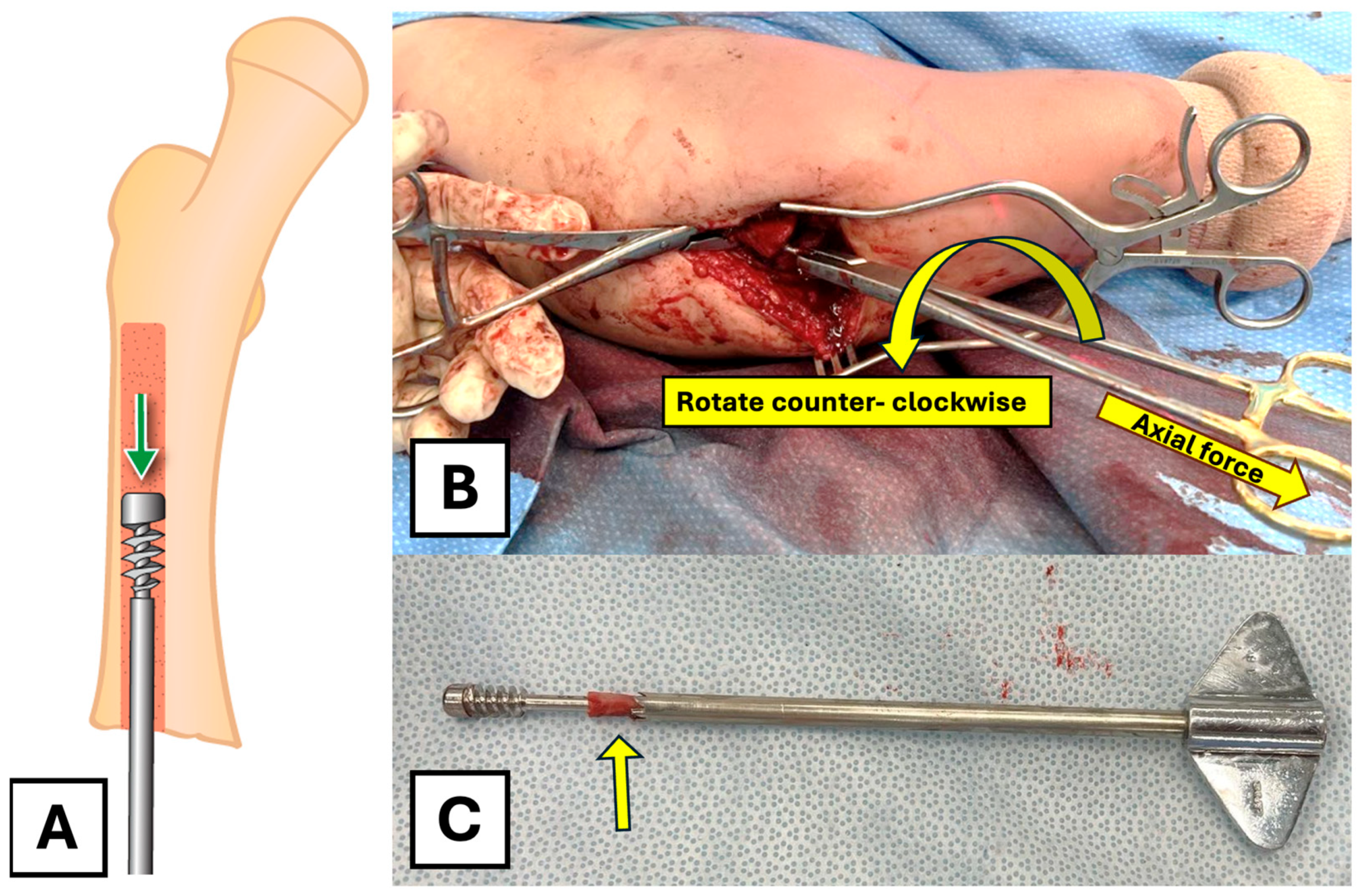 Children 12 01269 g004