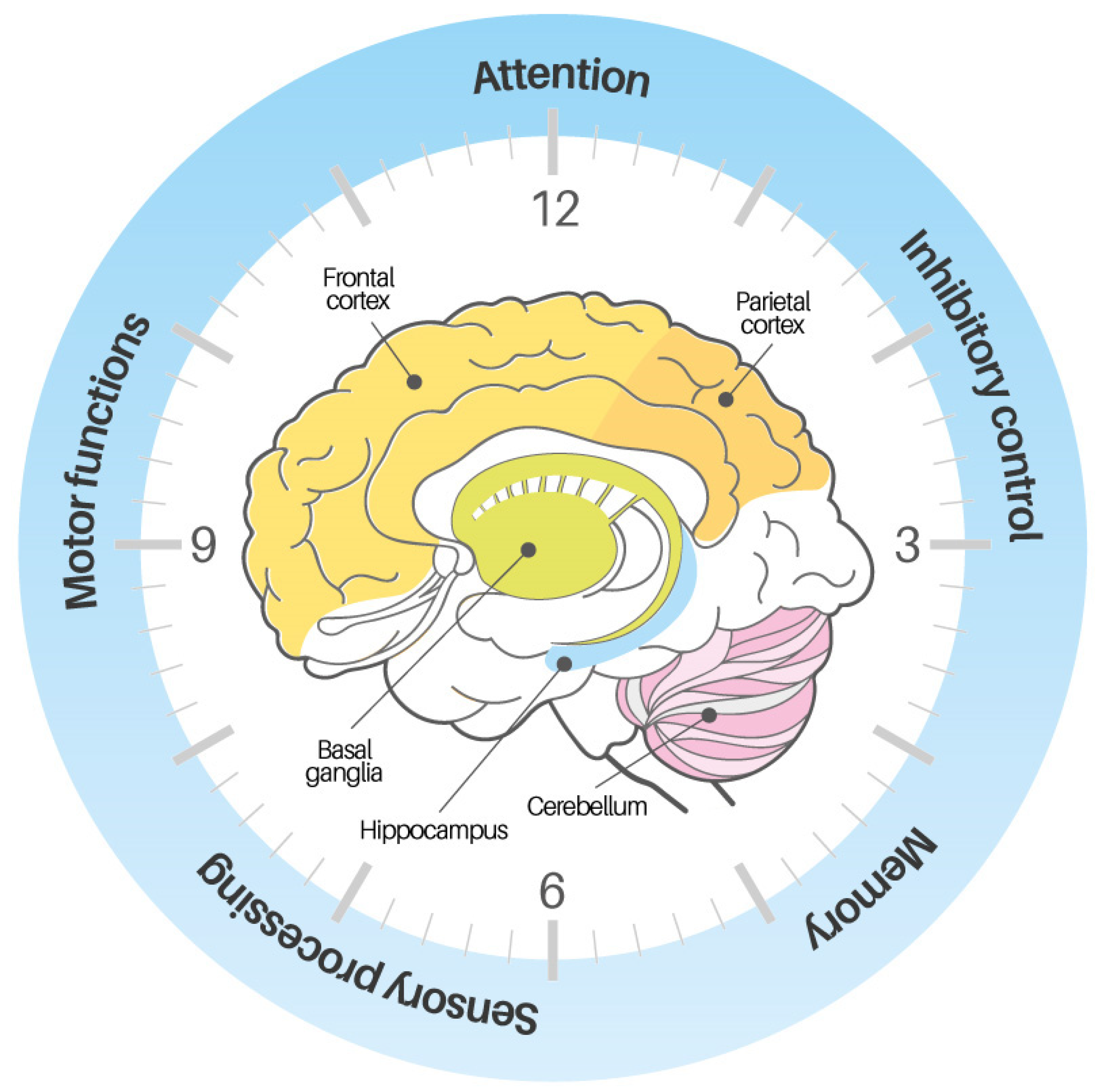 Children 12 01283 g001