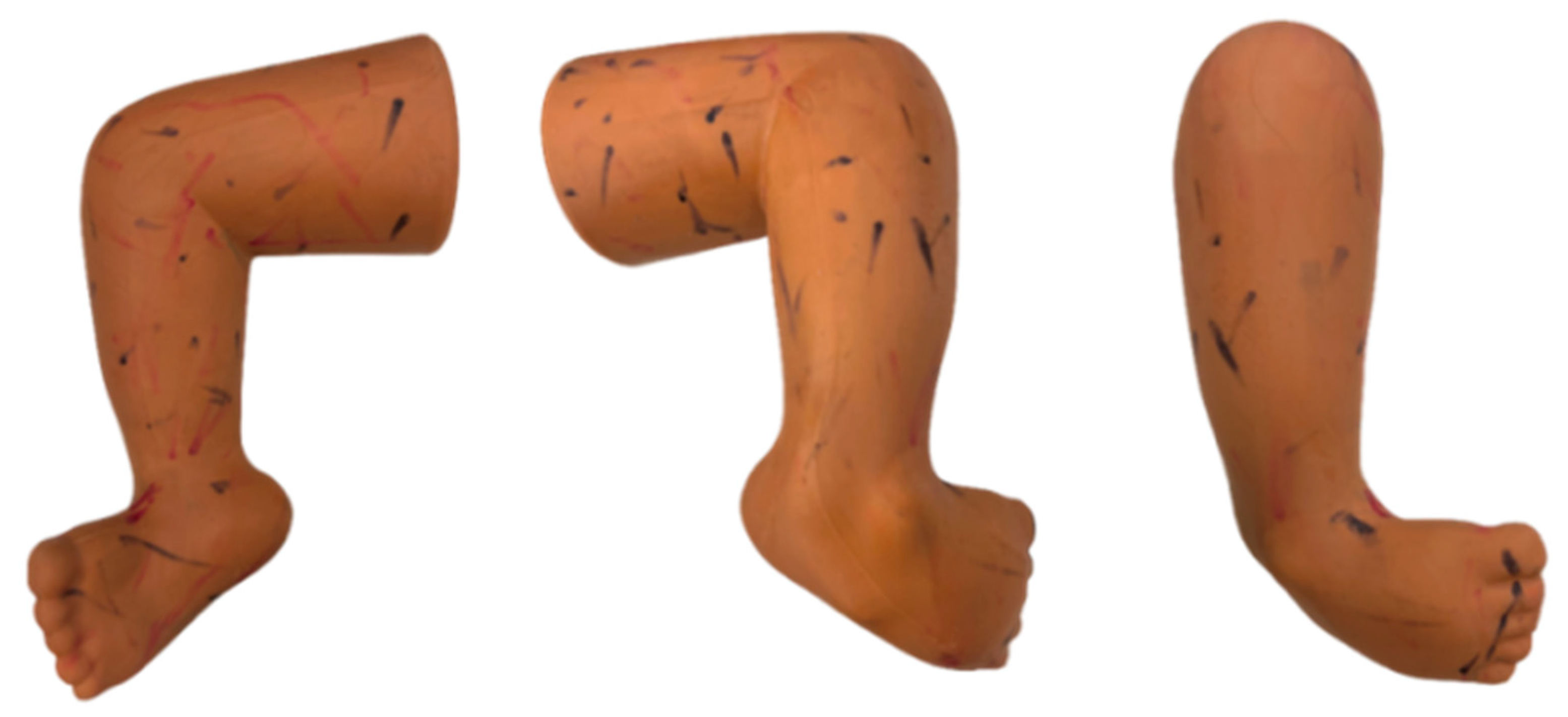 Children 12 01307 g003