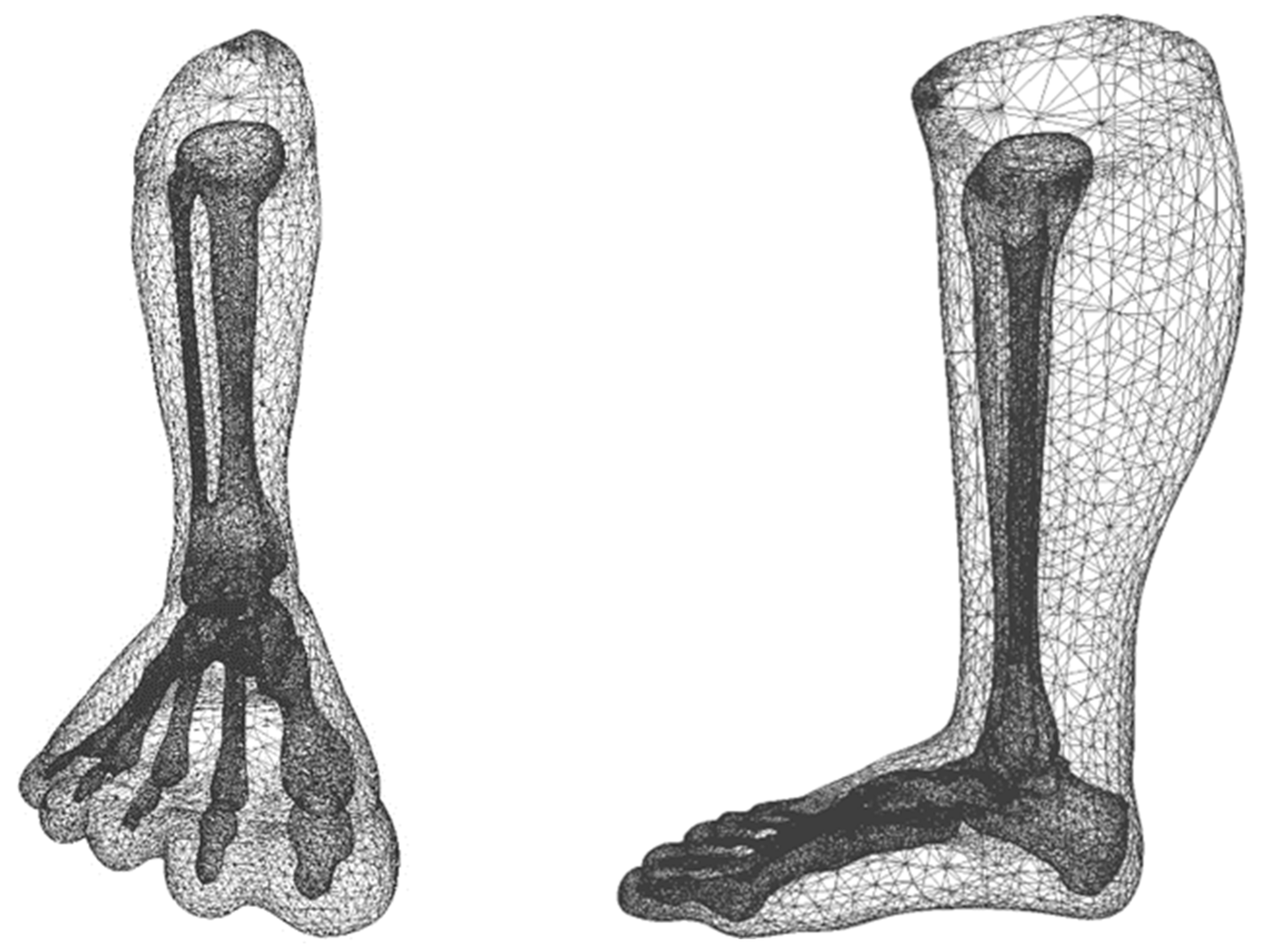 Children 12 01307 g013