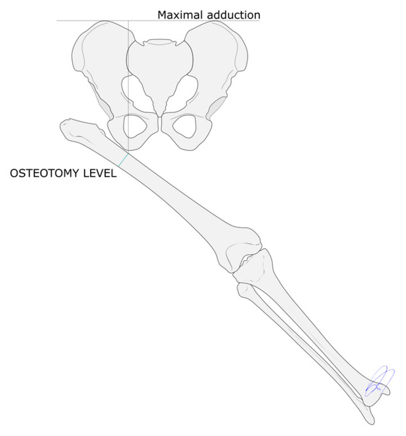 Children 12 01330 g001