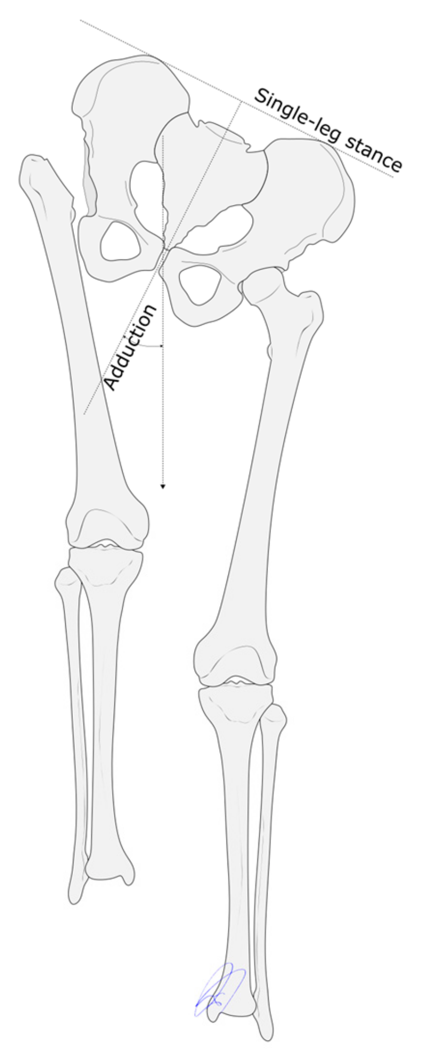 Children 12 01330 g002