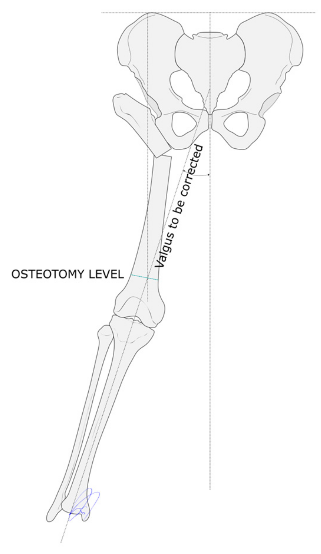 Children 12 01330 g003