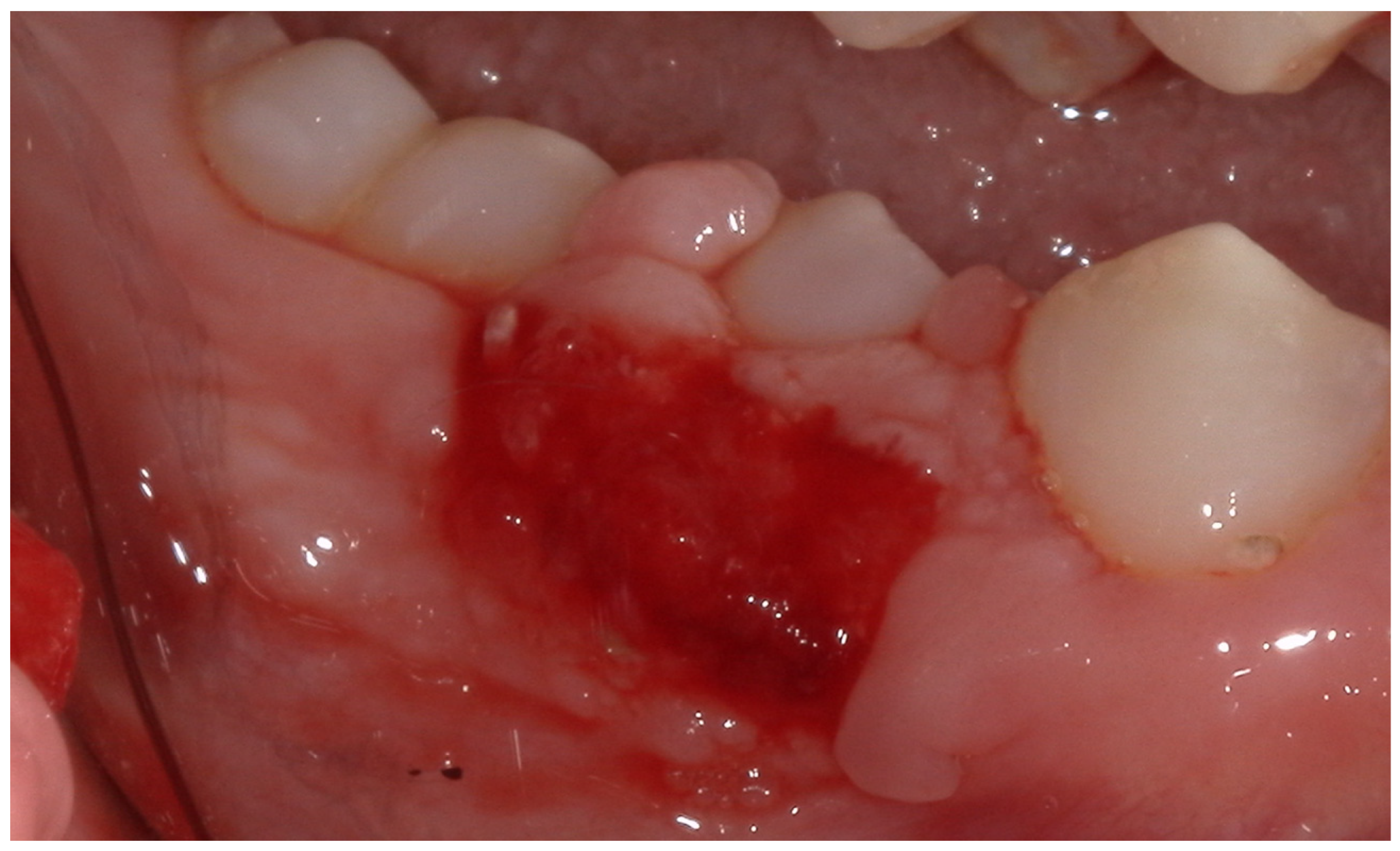 Children 12 01331 g004 Children 12 01331 g004