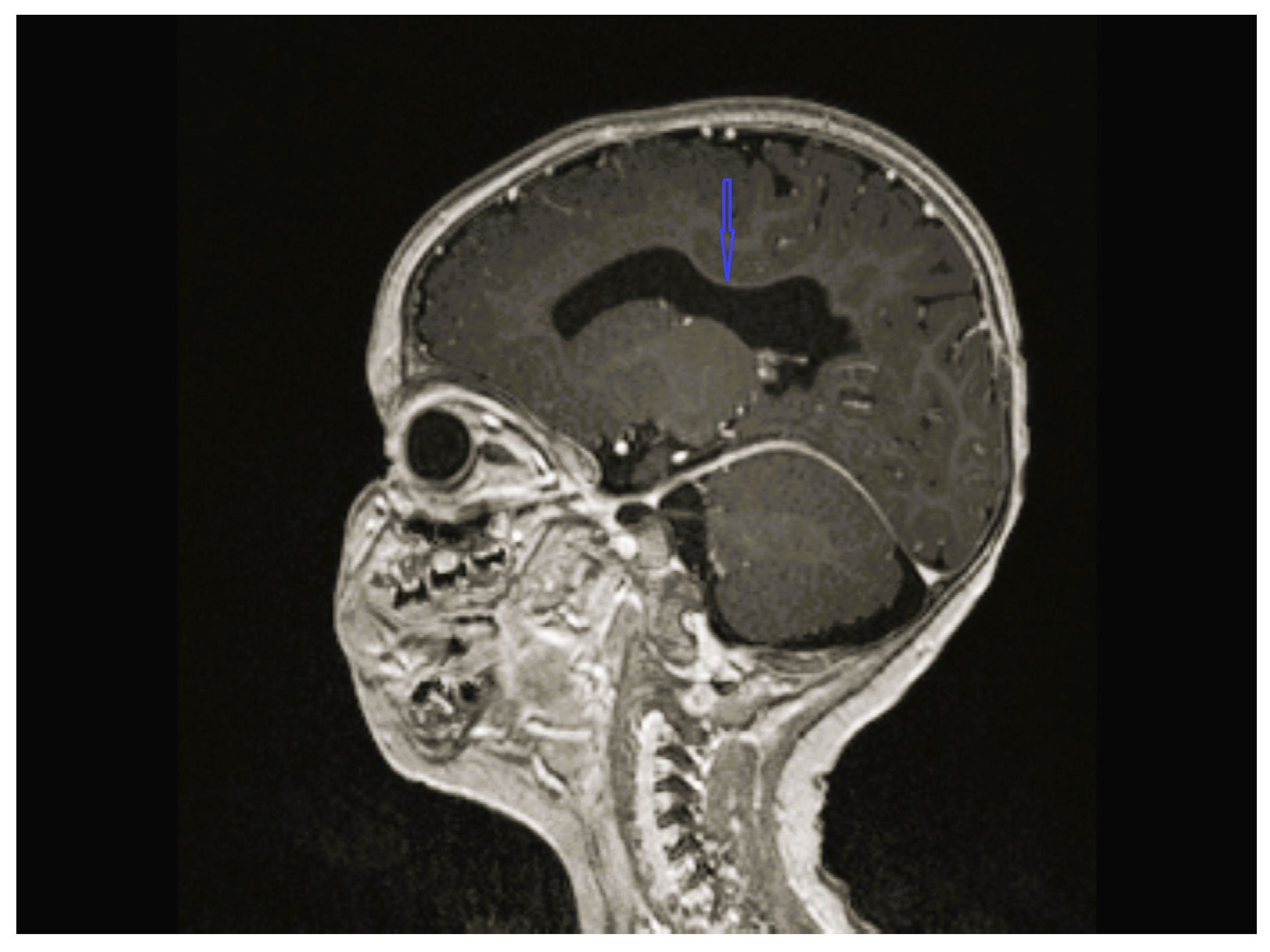 Children 12 01332 g002 Children 12 01332 g002