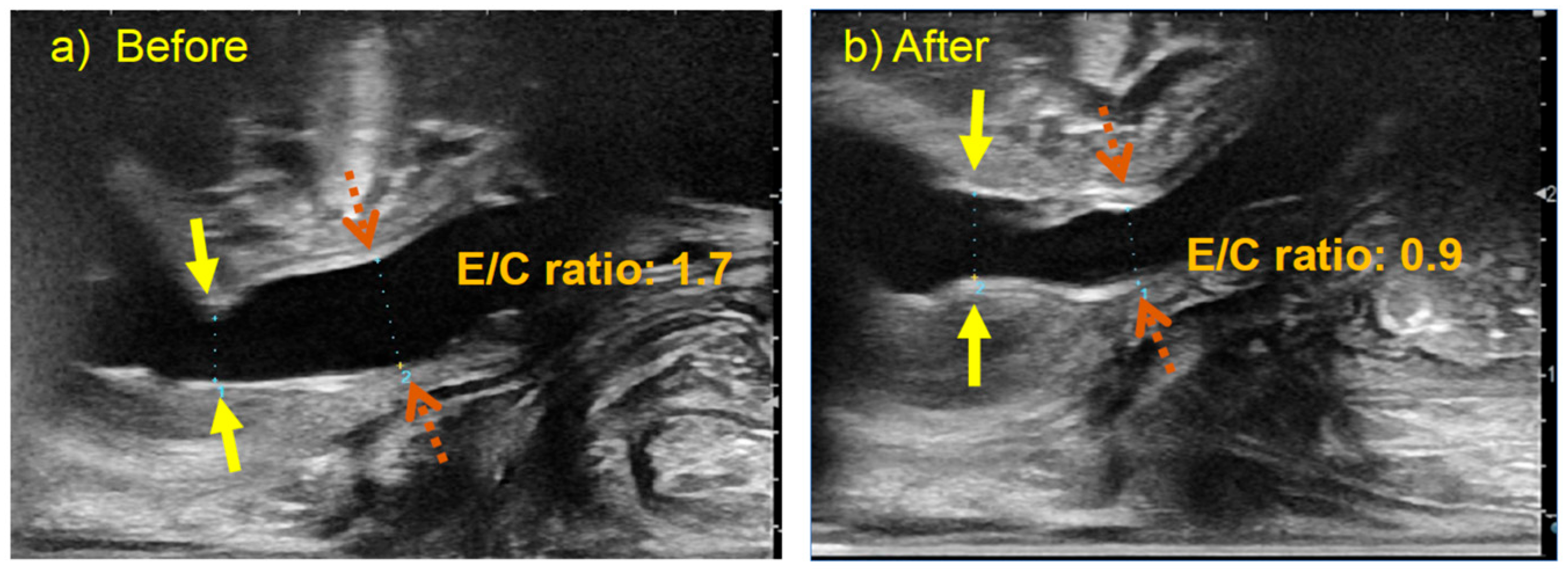 Children 12 01365 g002