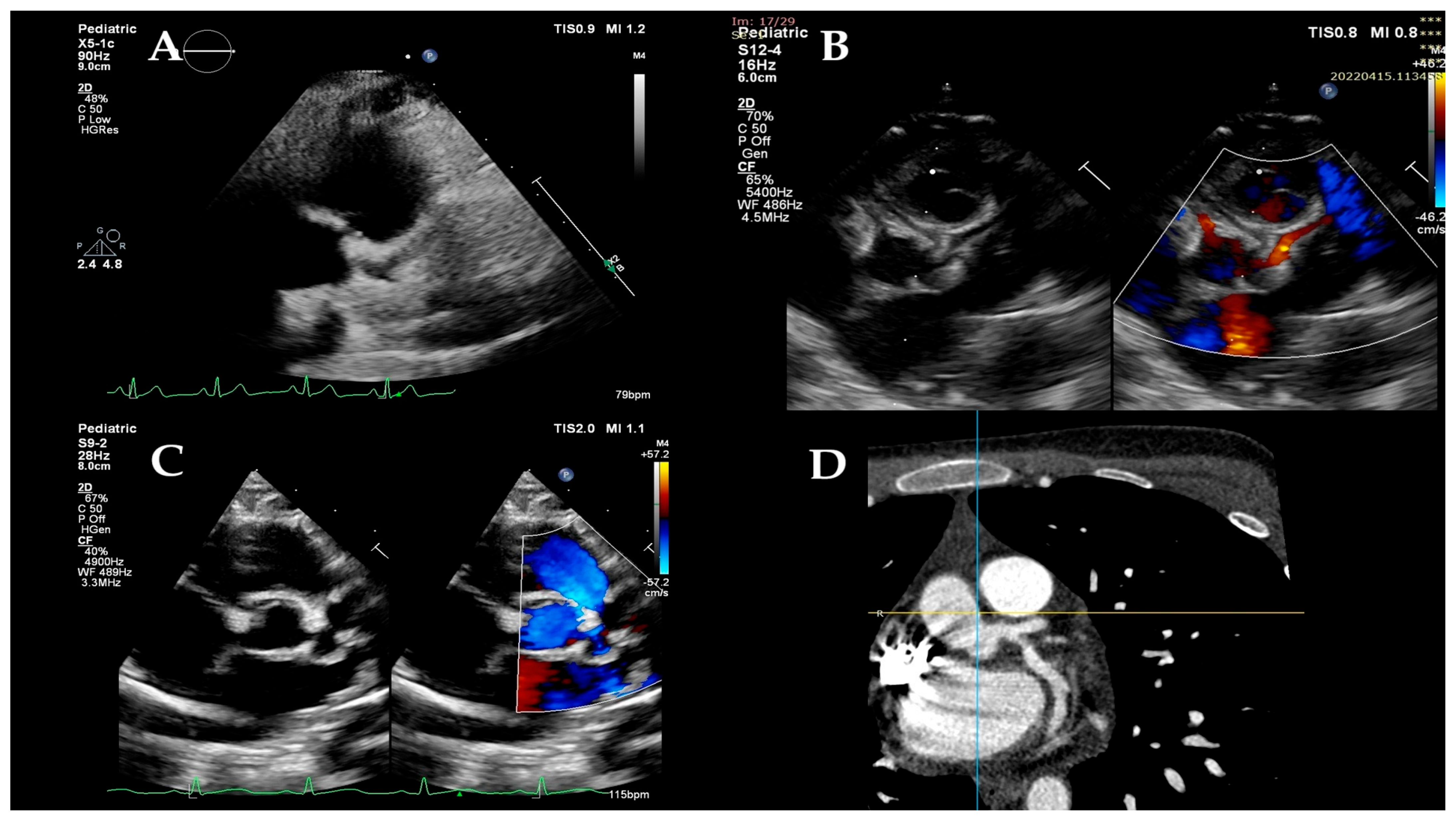 Children 12 01383 g001 Children 12 01383 g001