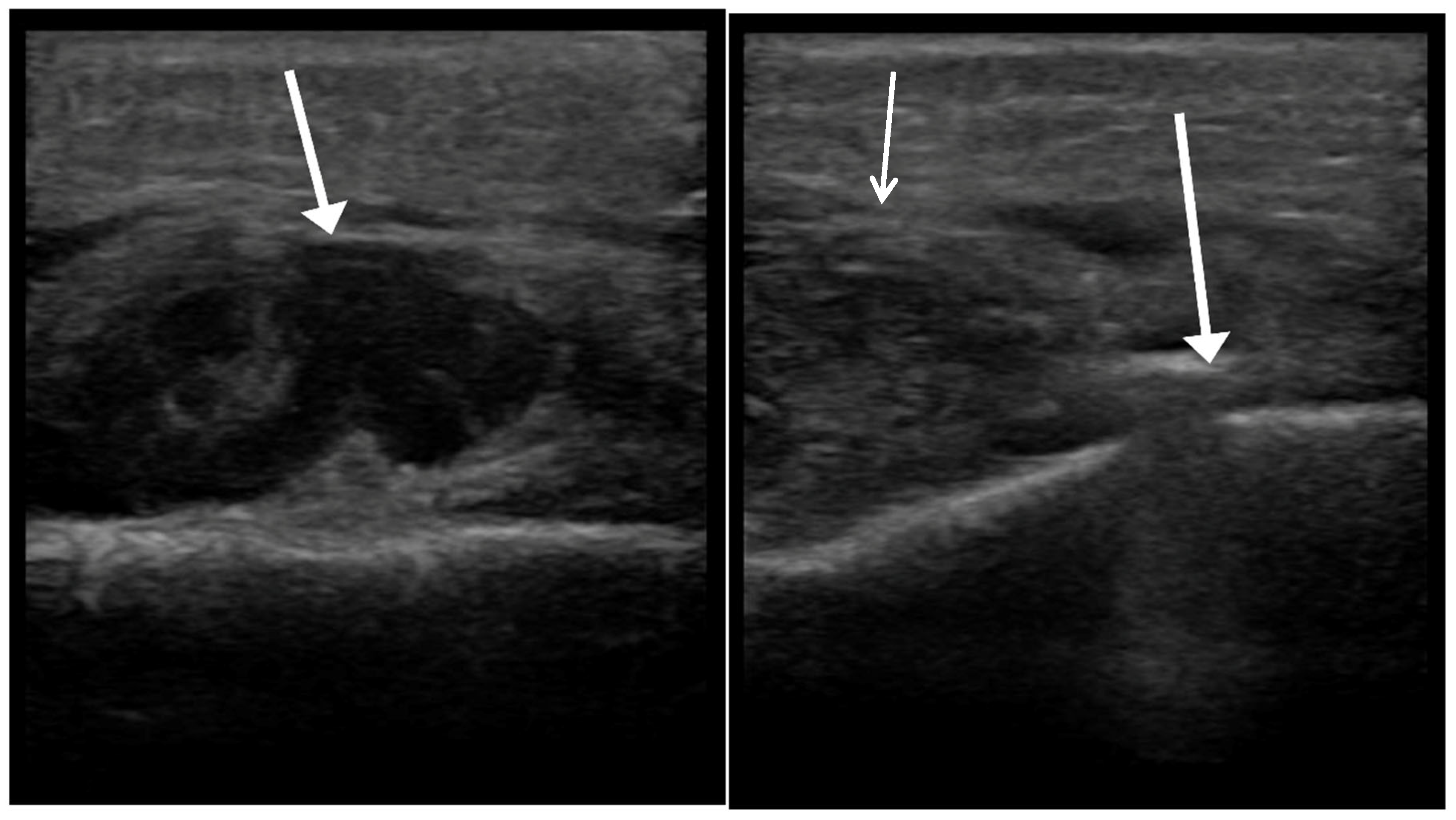 Children 12 01392 g002