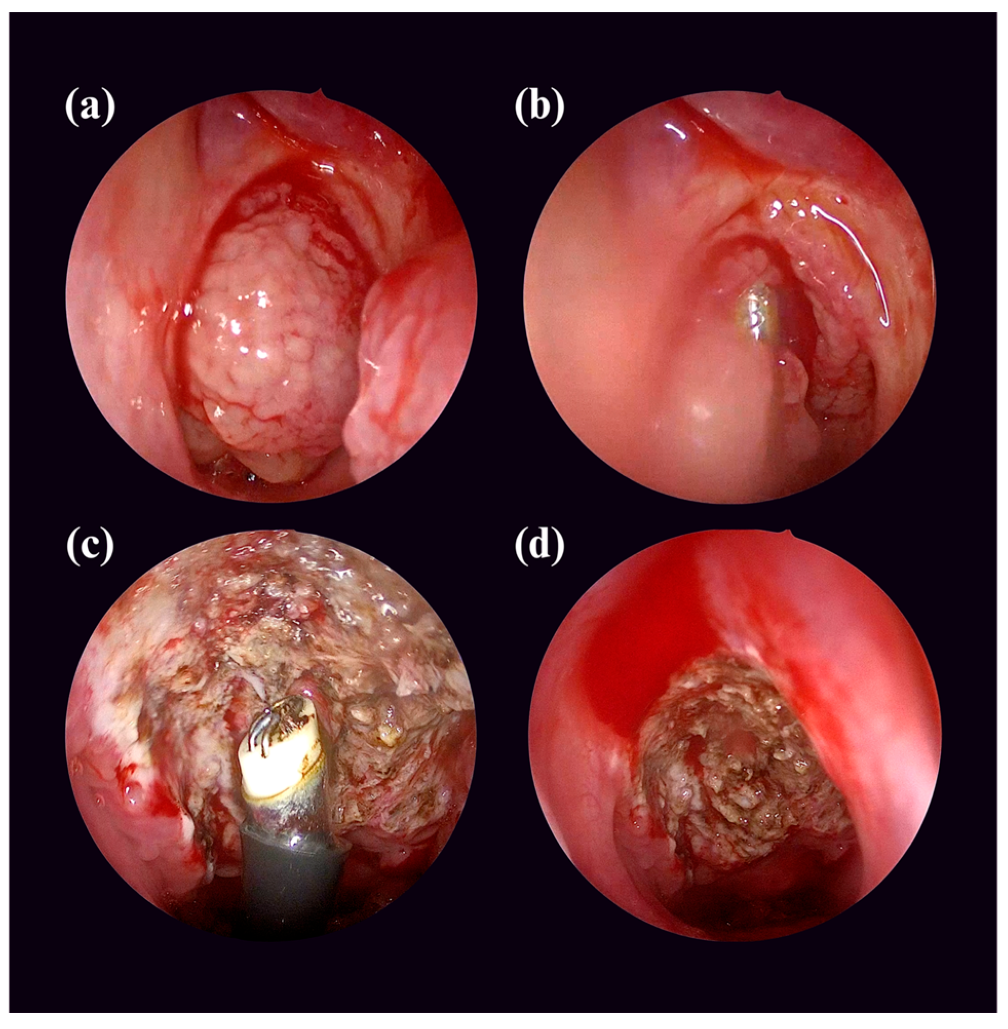 Children 12 01393 g001 Children 12 01393 g001