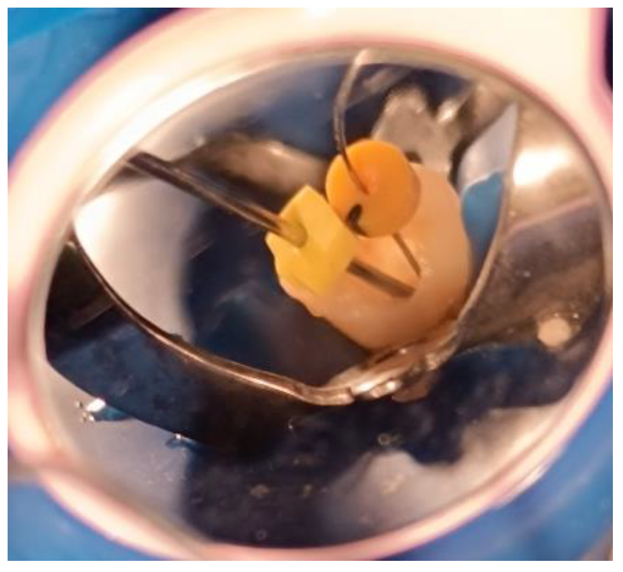 Children 12 01423 g001