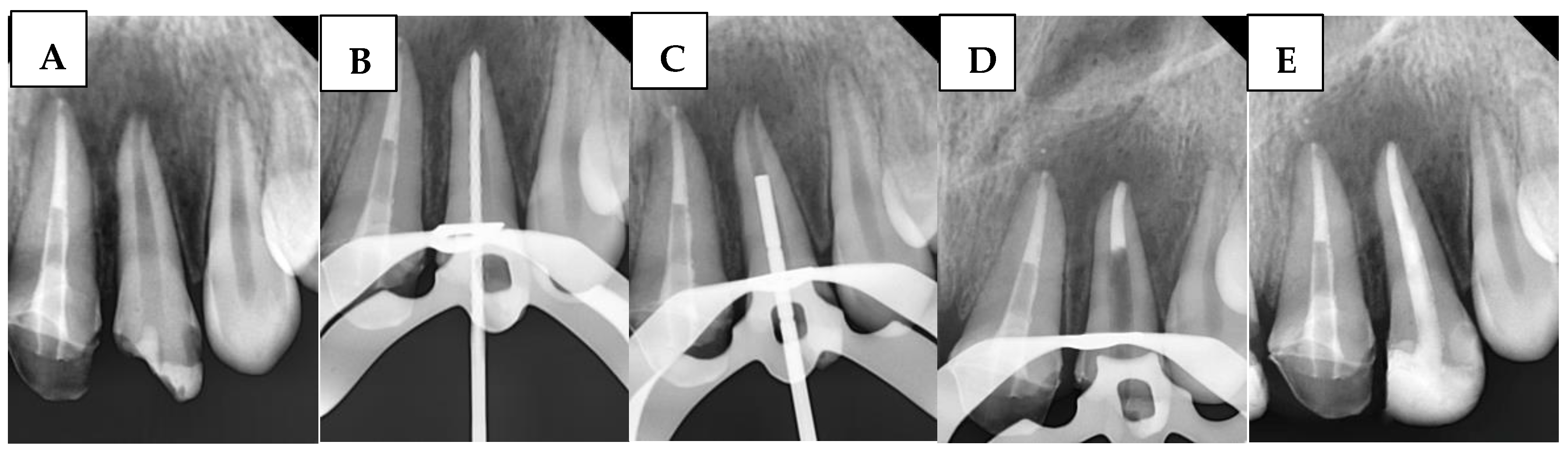 Children 12 01423 g002