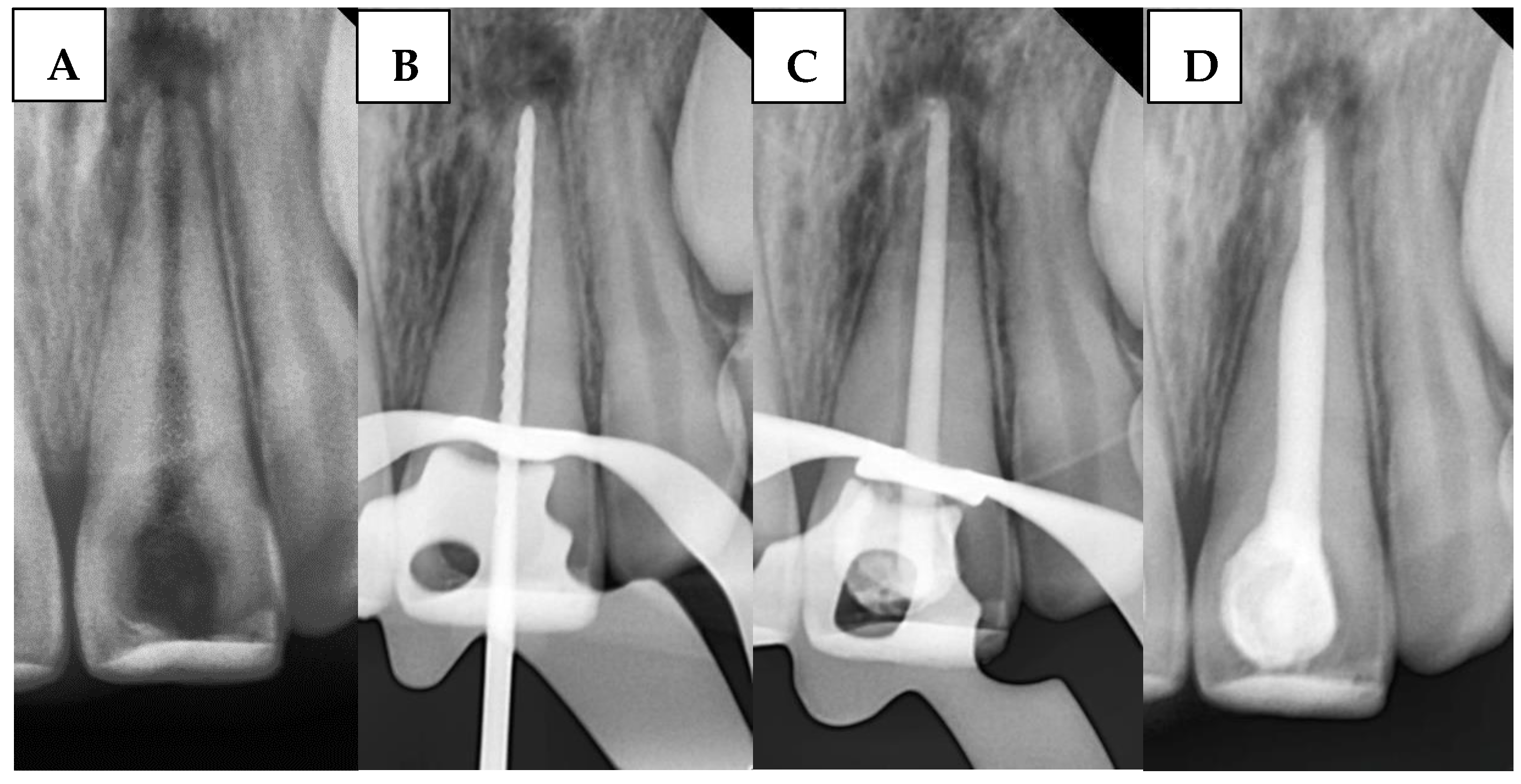 Children 12 01423 g003