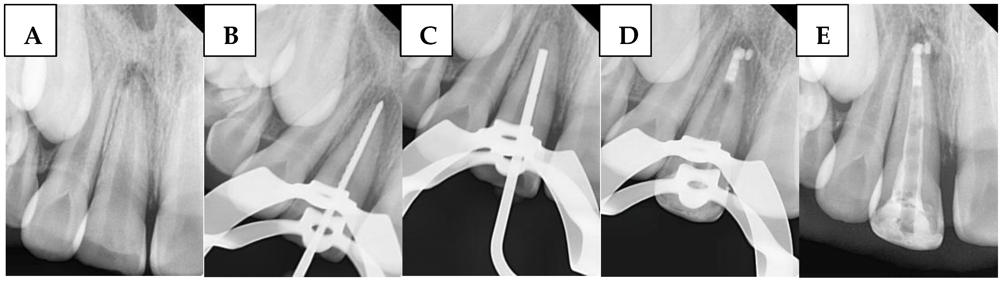 Children 12 01423 g004