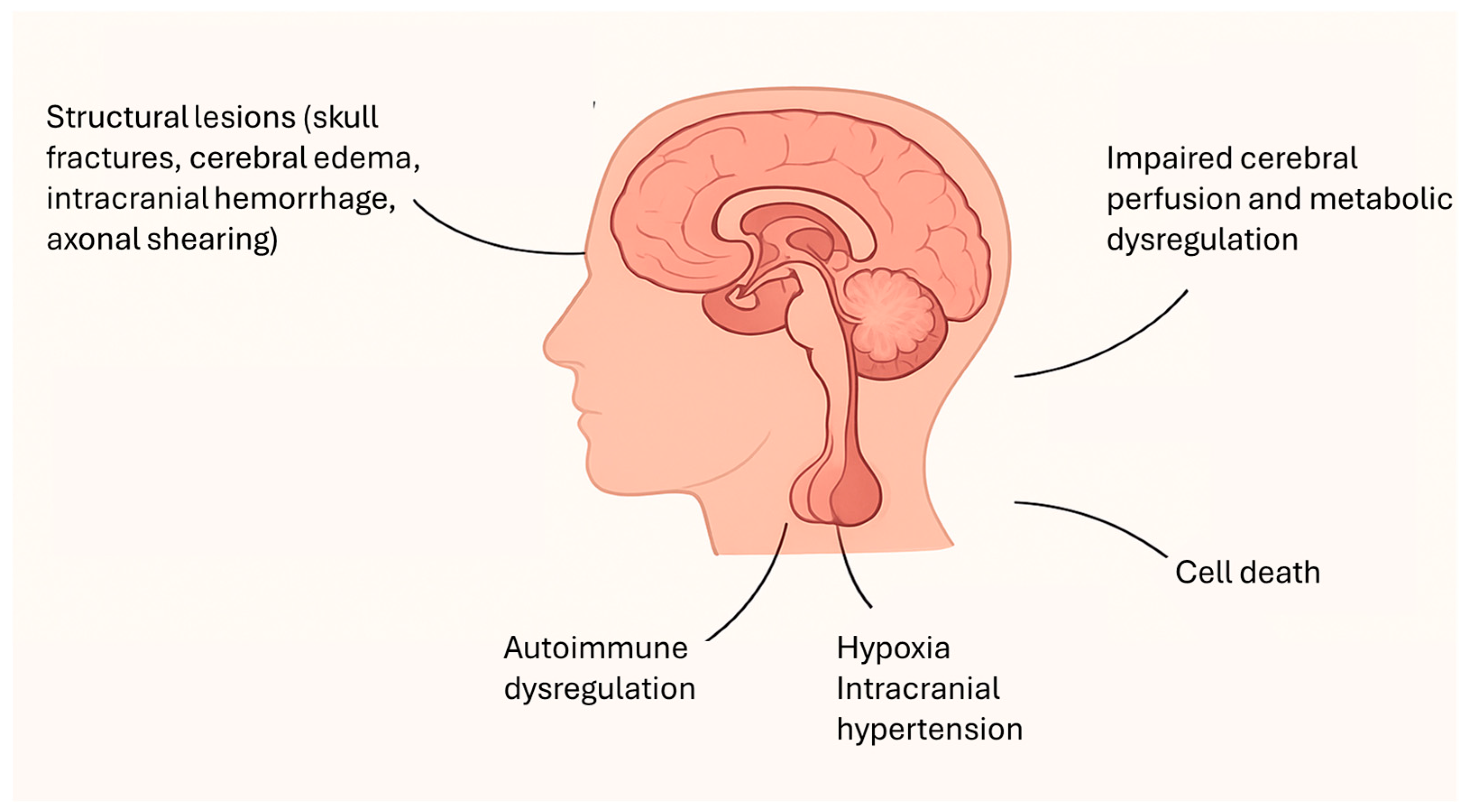 Children 12 01484 g001