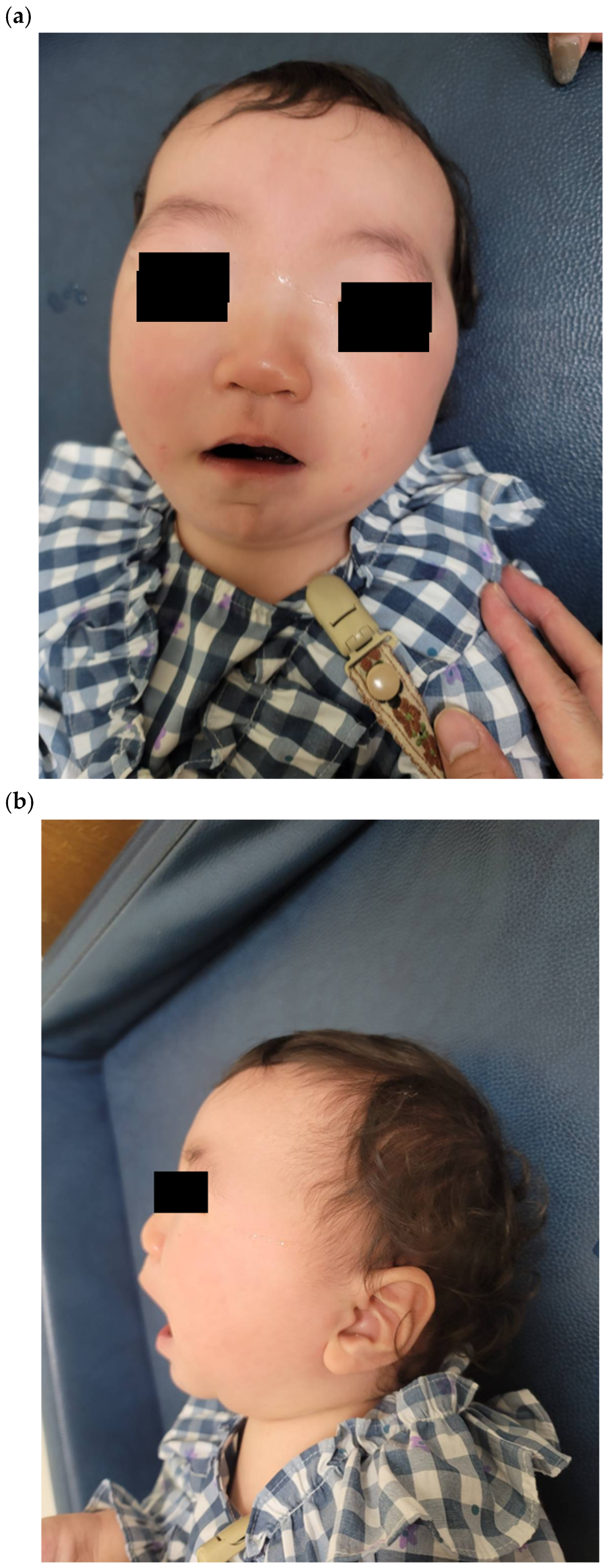 Children 12 01487 g001 Children 12 01487 g001