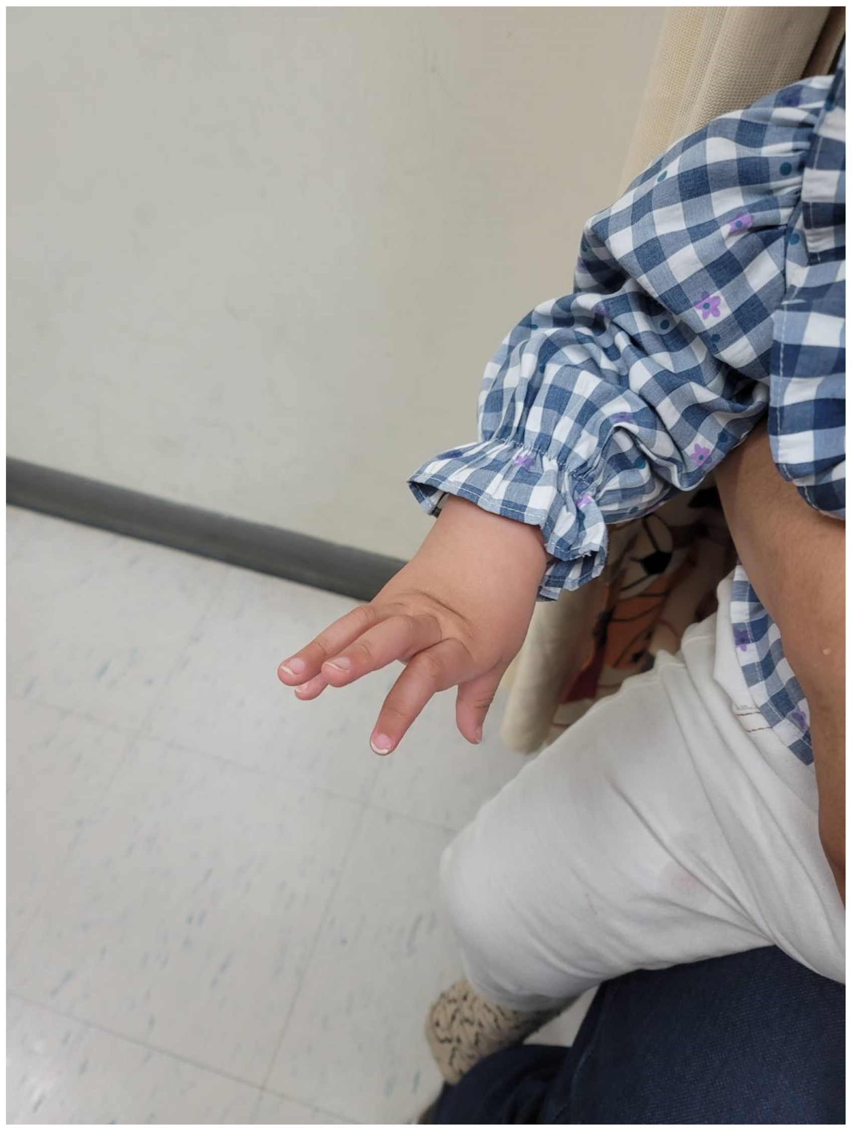 Children 12 01487 g002 Children 12 01487 g002