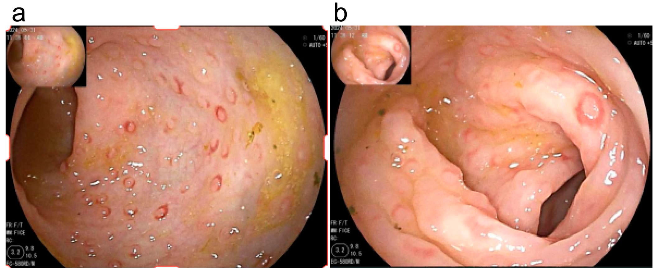 Children 12 01494 g001 Children 12 01494 g001