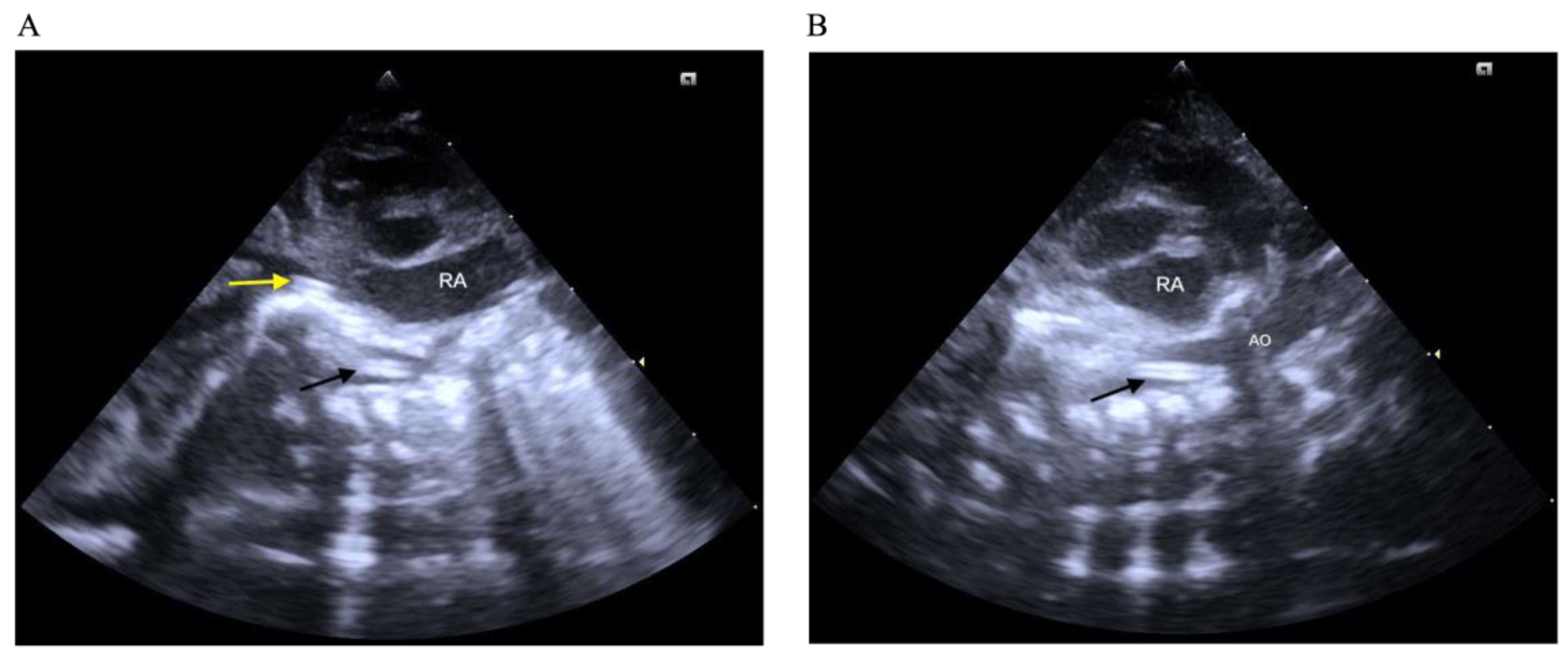 Children 12 01509 g001 Children 12 01509 g001