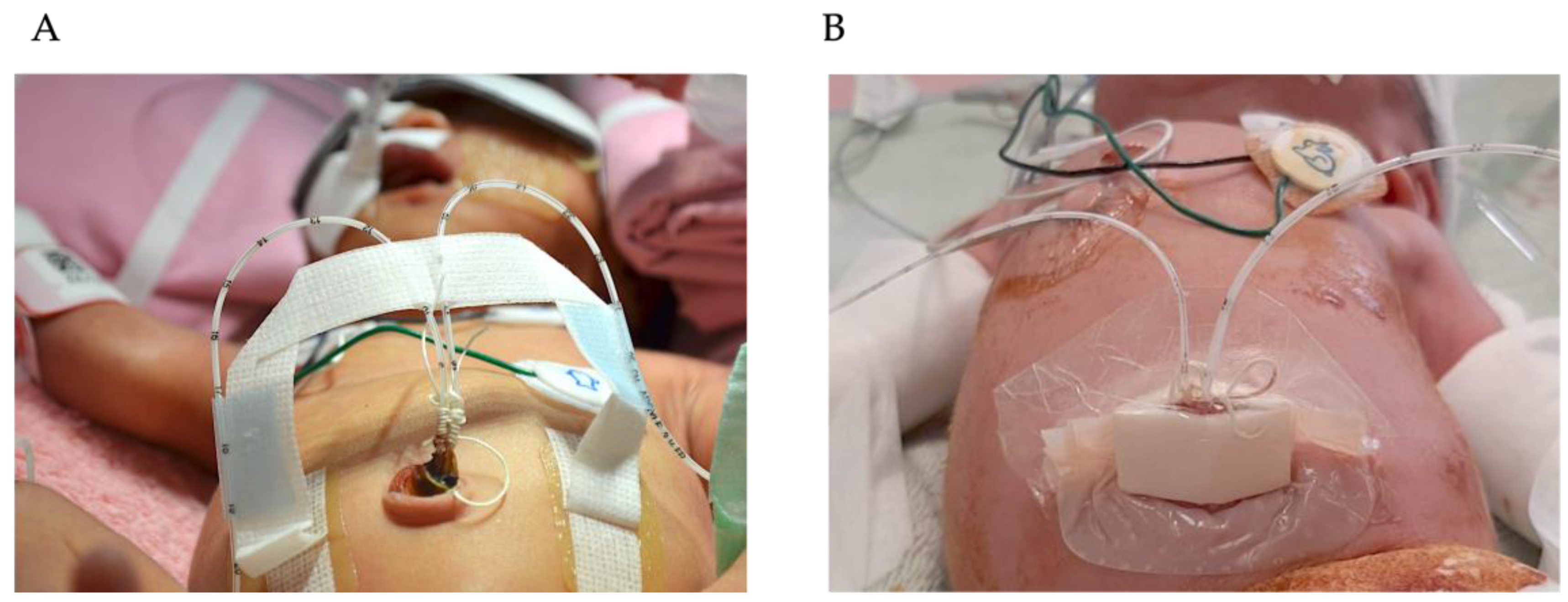 Children 12 01509 g002 Children 12 01509 g002