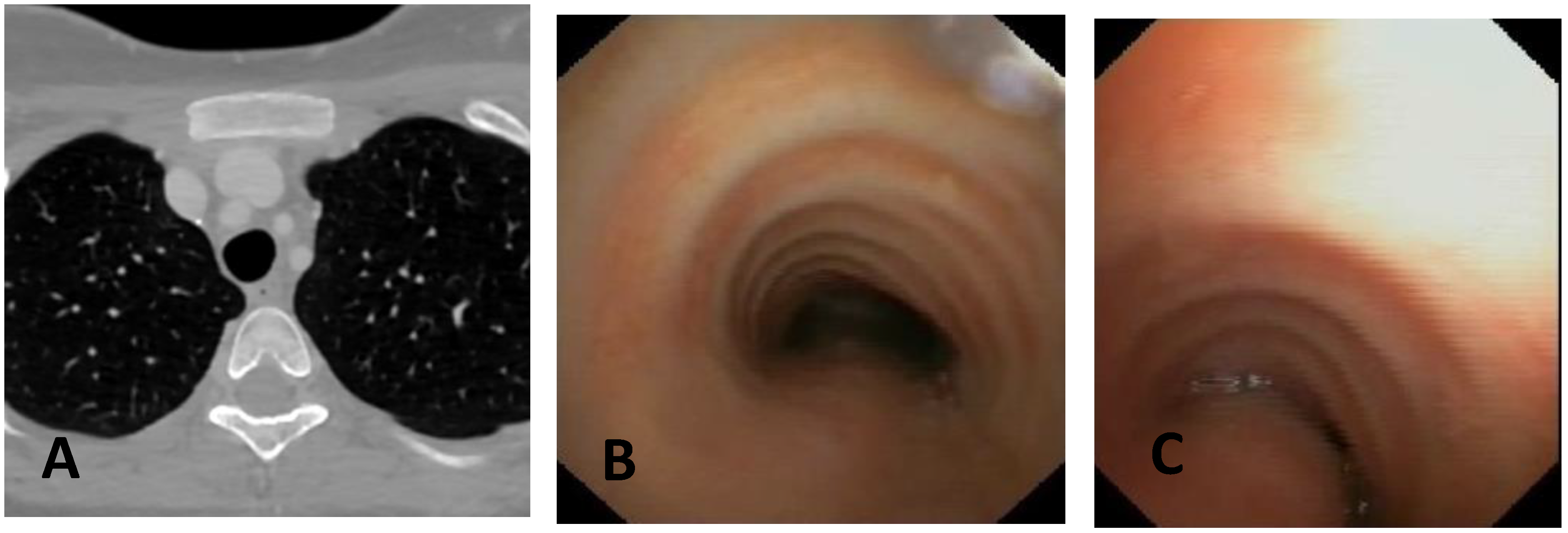 Children 12 01511 g005 Children 12 01511 g005